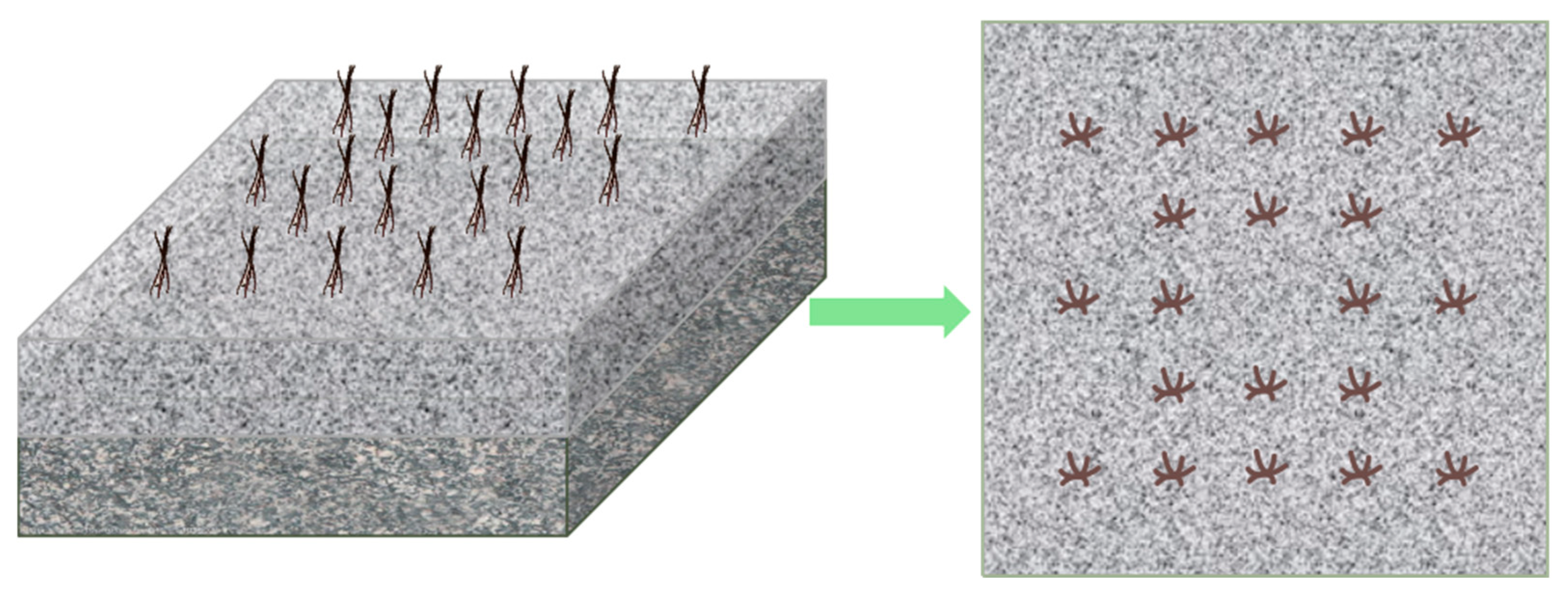 Processes 12 01843 g003