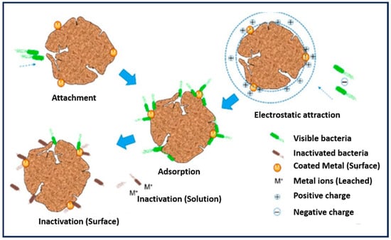 Processes 12 01863 g007