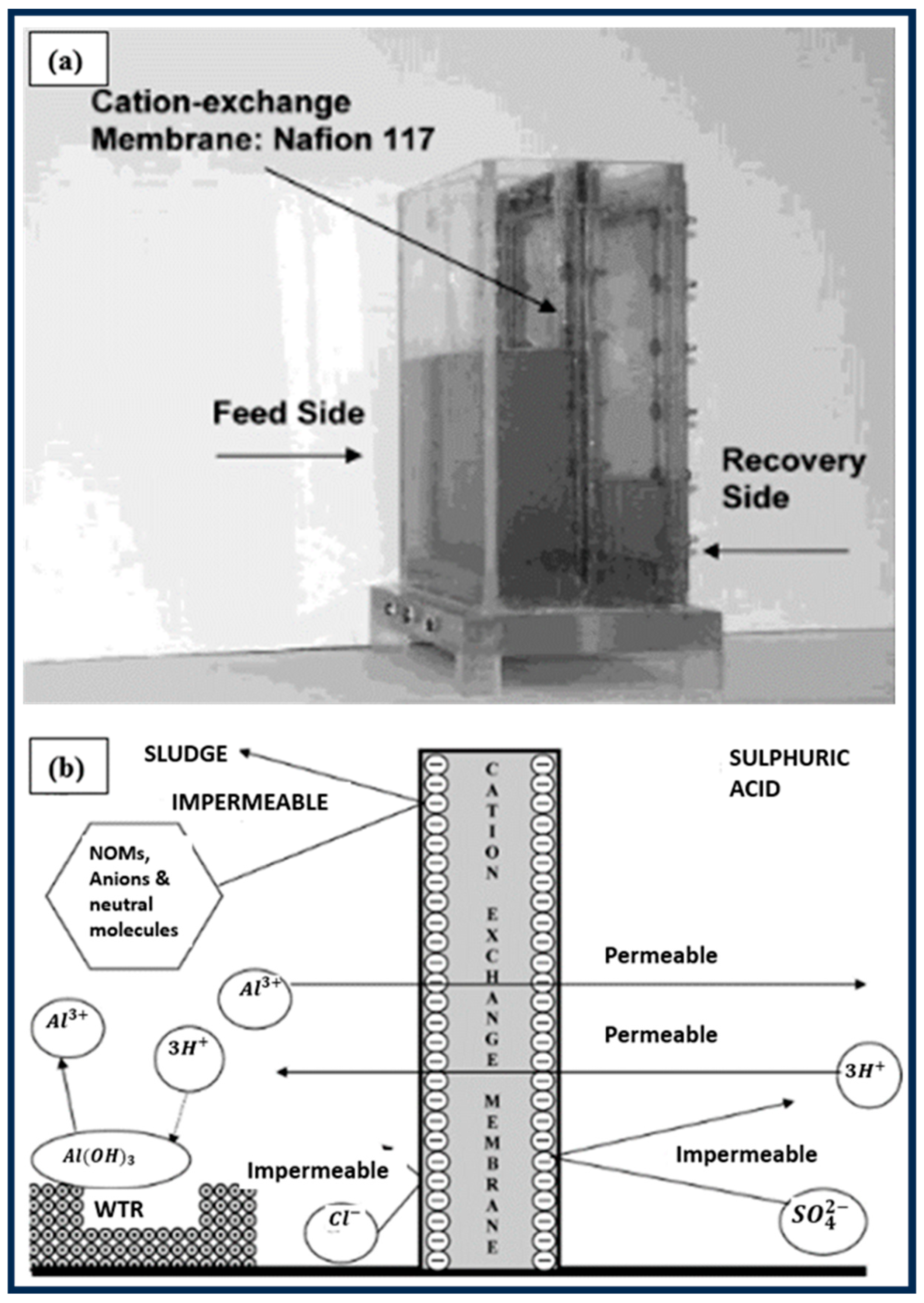 Processes 12 01863 g011