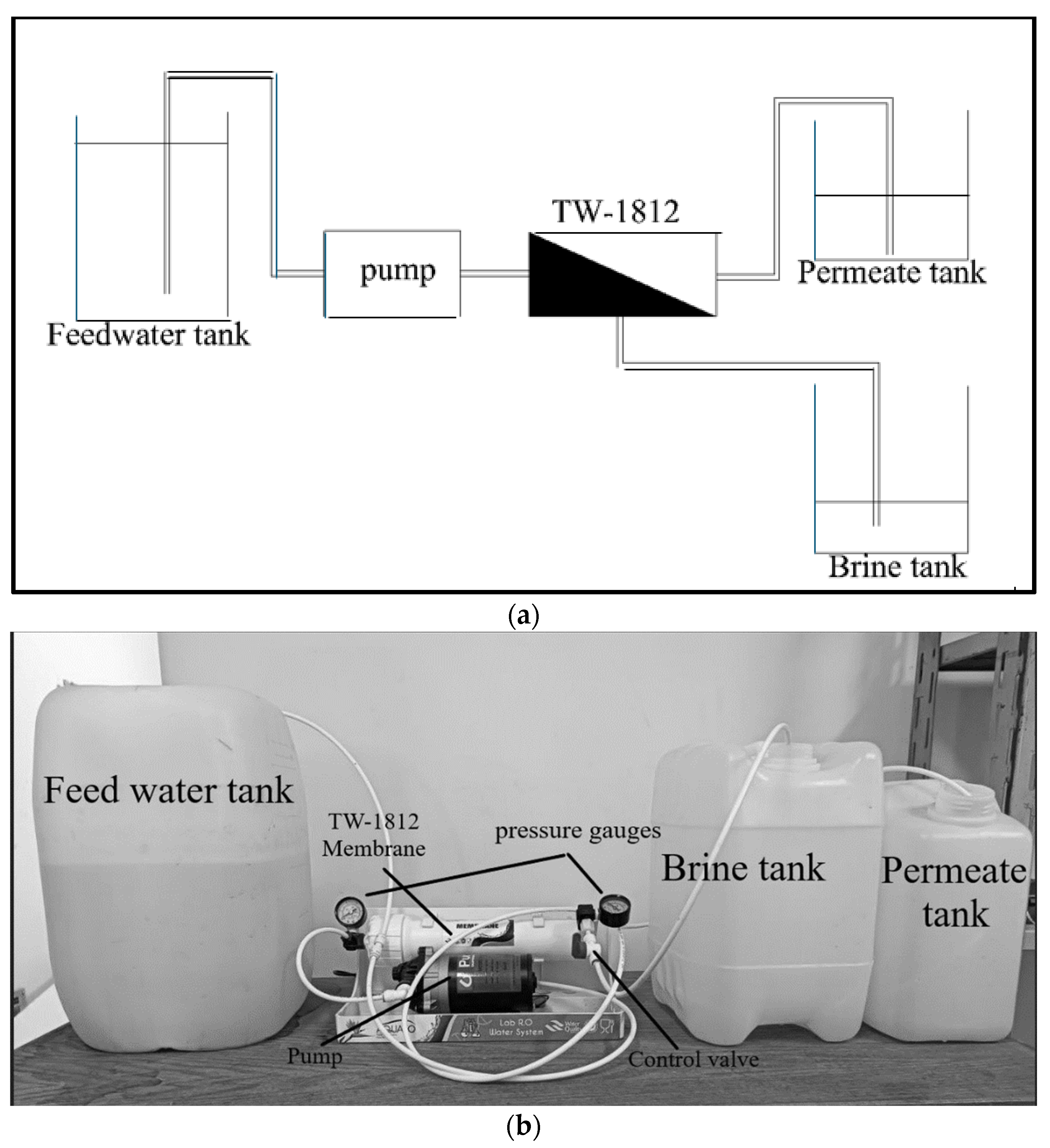 Processes 12 01866 g003