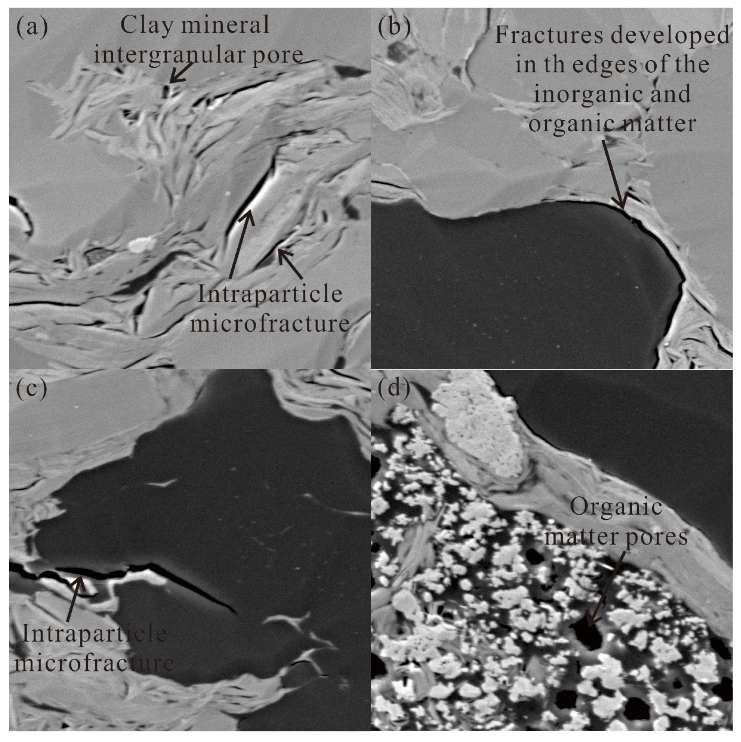 Processes 12 01870 g002