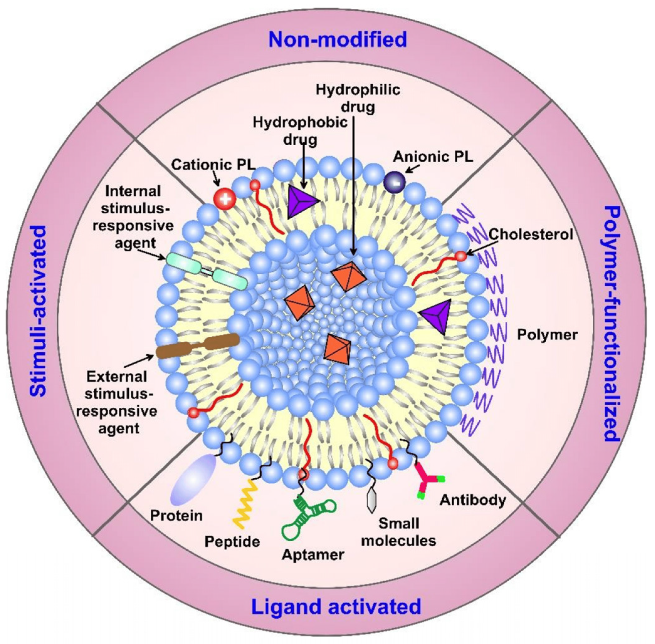 Processes 12 01970 g001