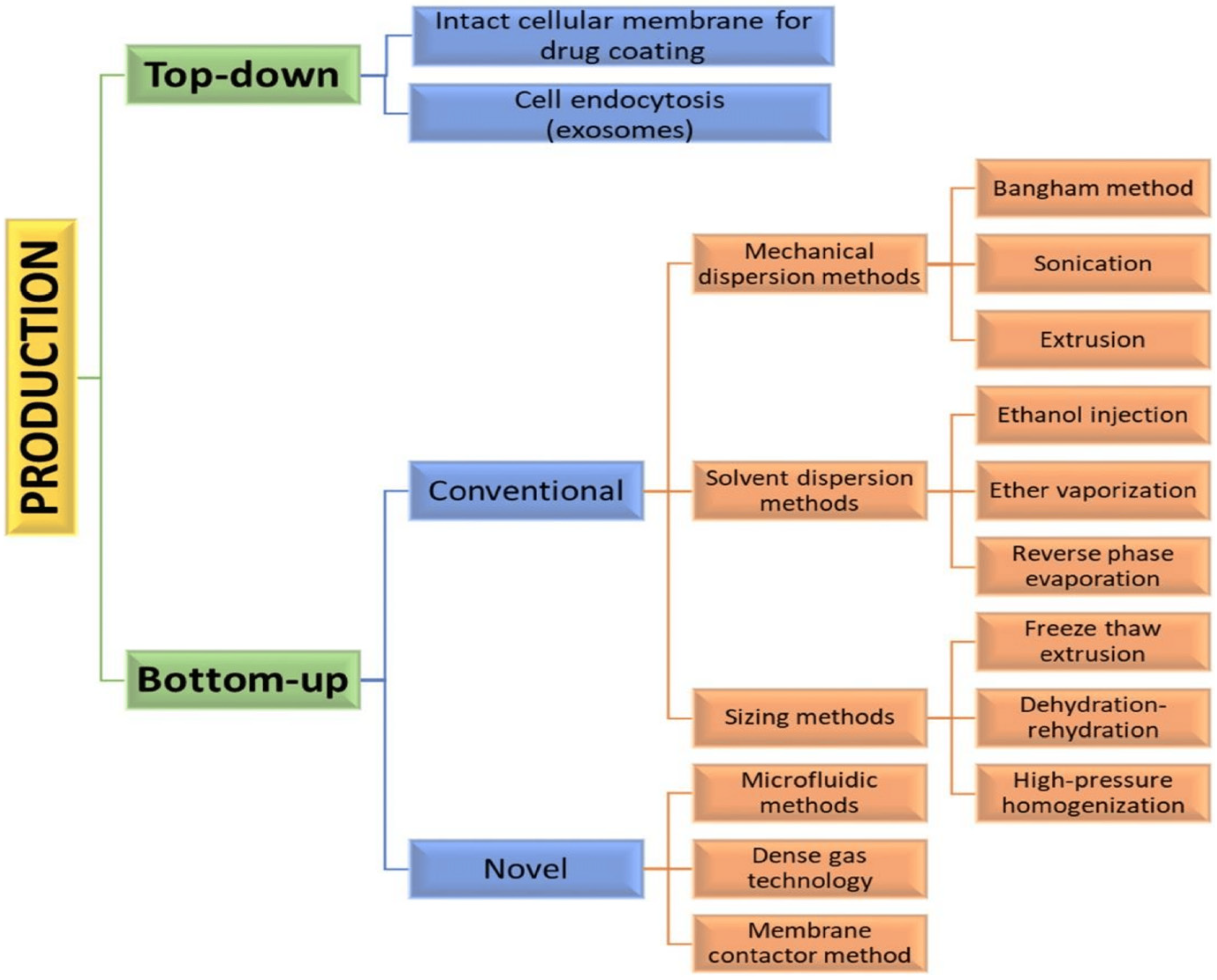 Processes 12 01970 g005