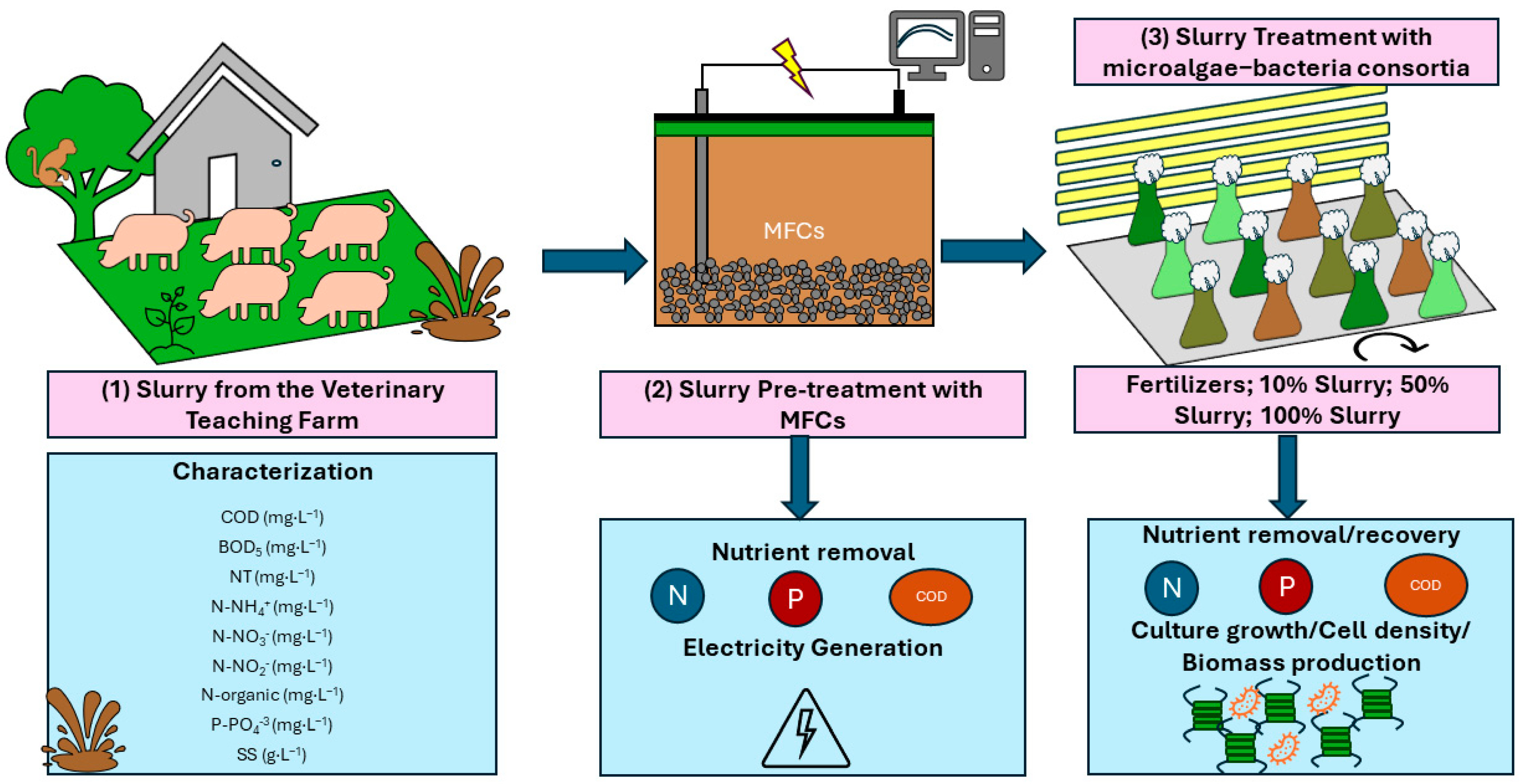 Processes 12 01989 g001