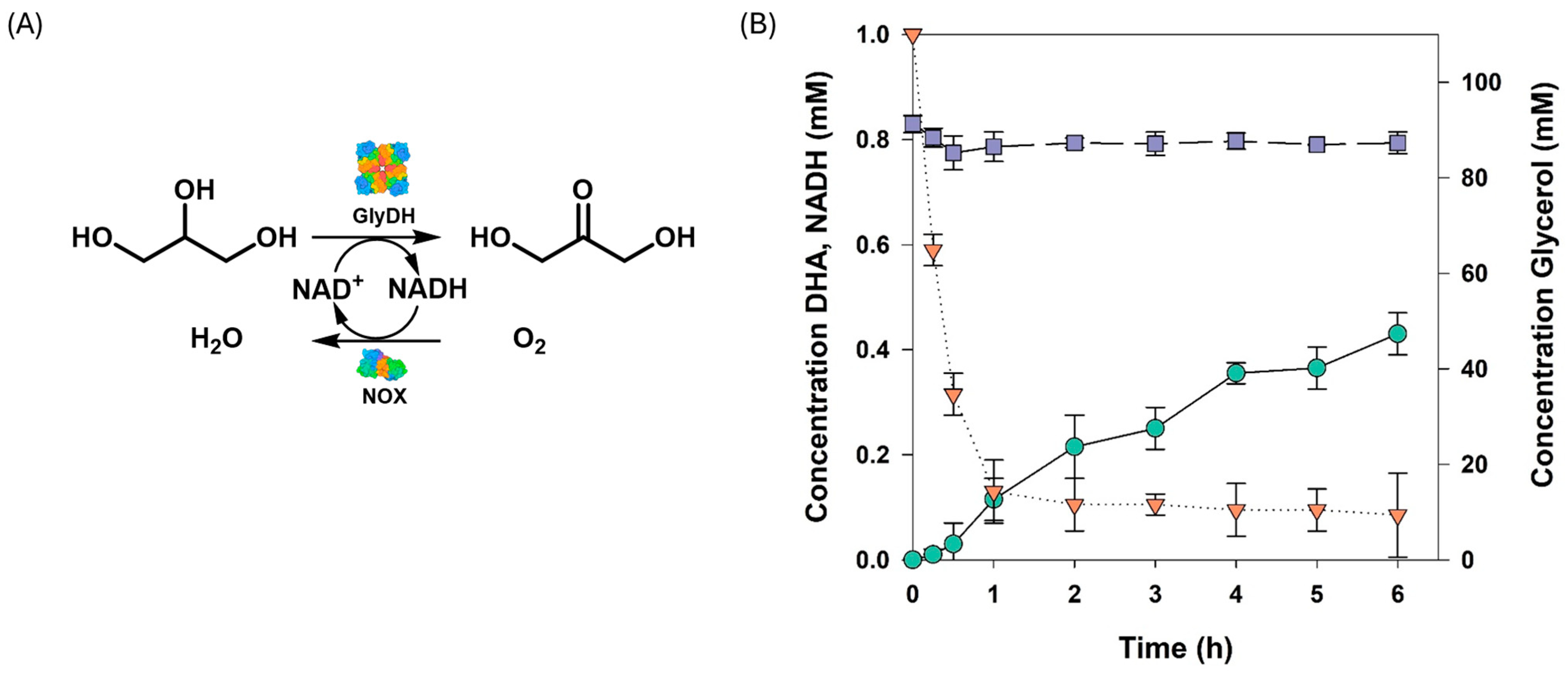 Processes 12 02014 g004