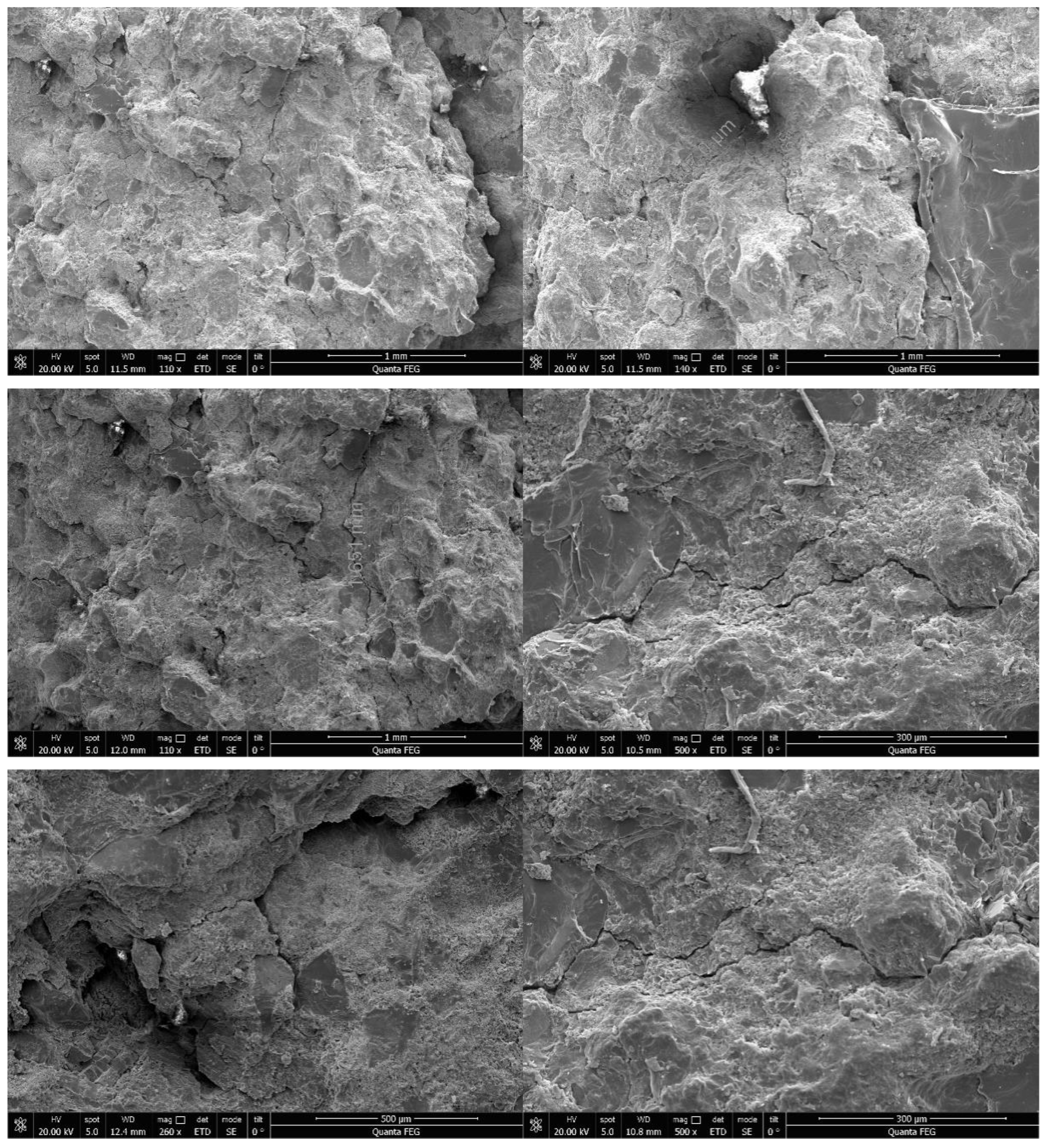 Processes 12 02015 g023