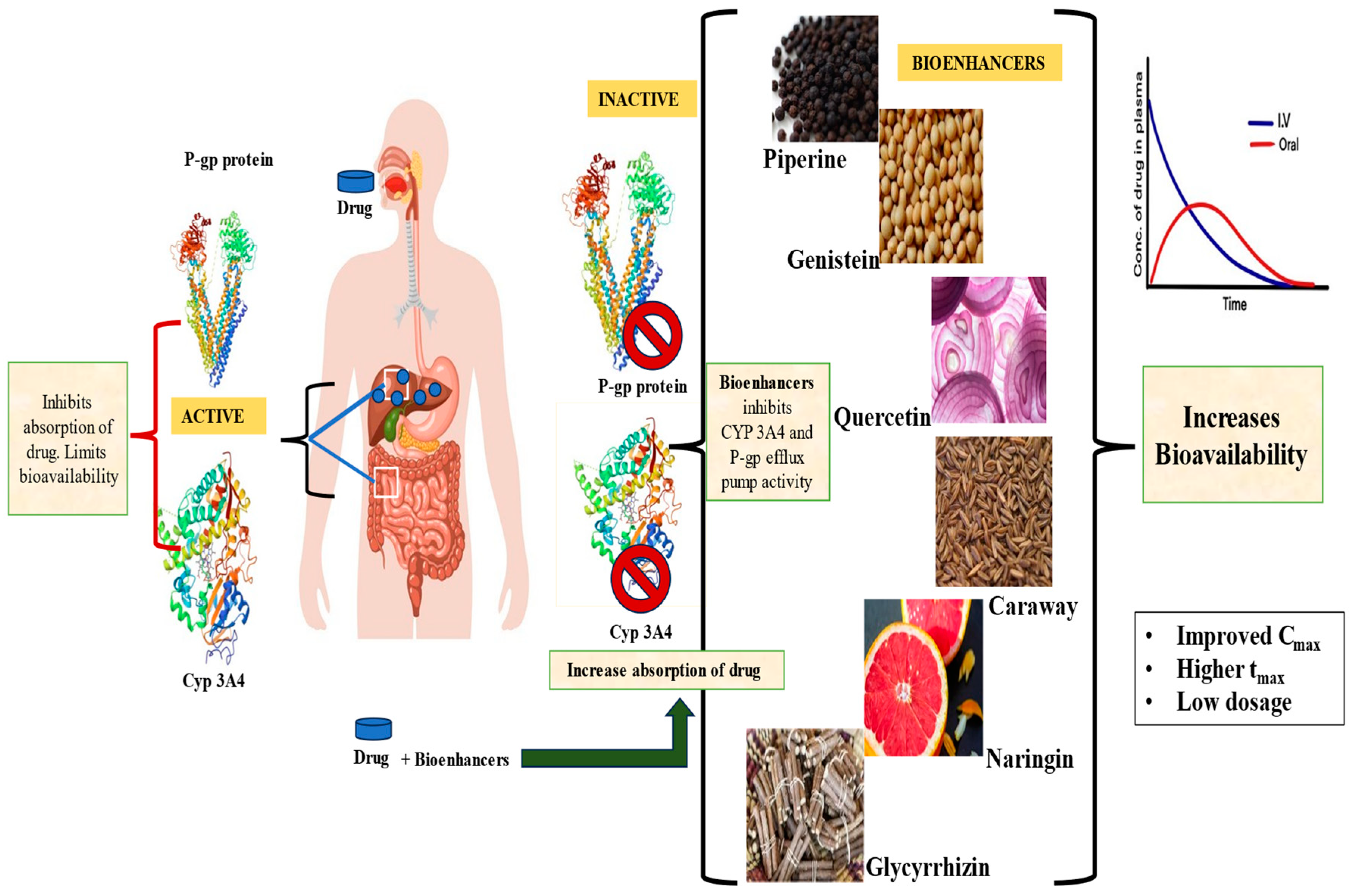 Processes 12 02060 g001