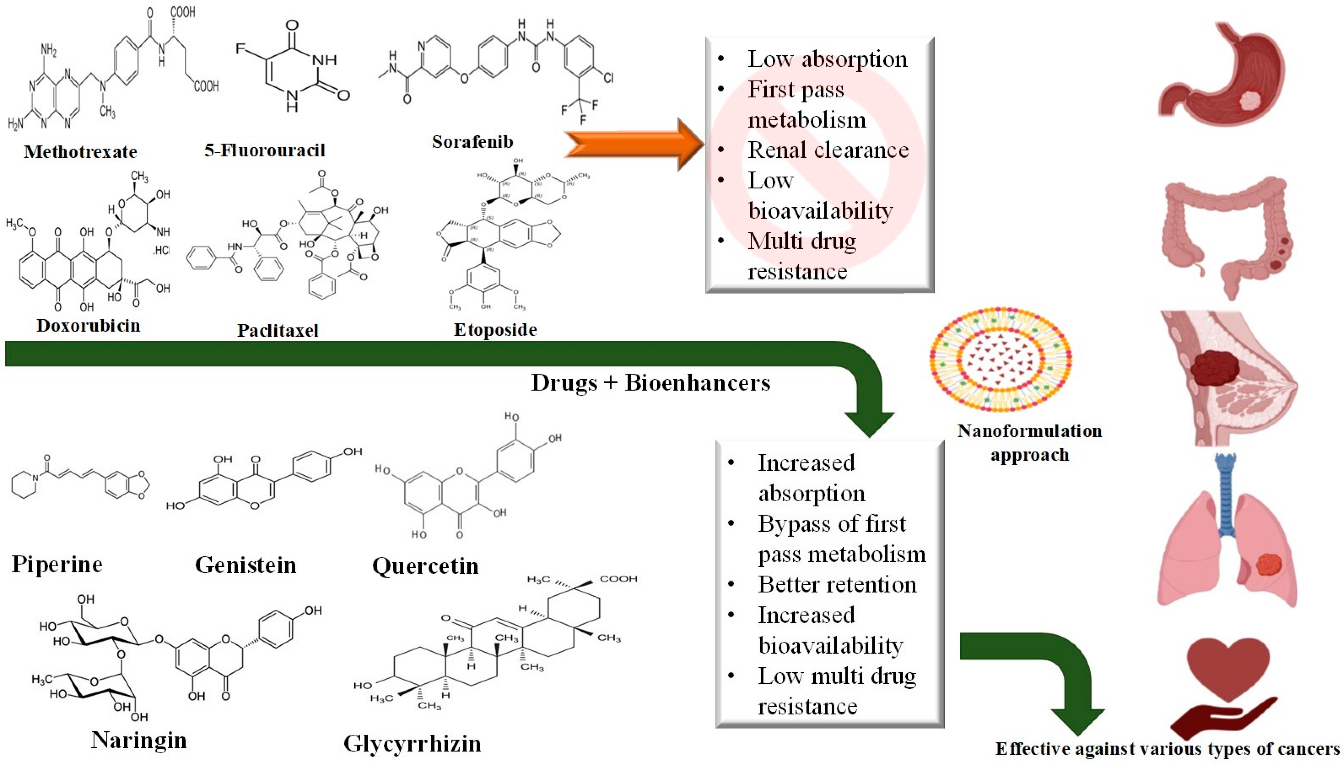 Processes 12 02060 g002