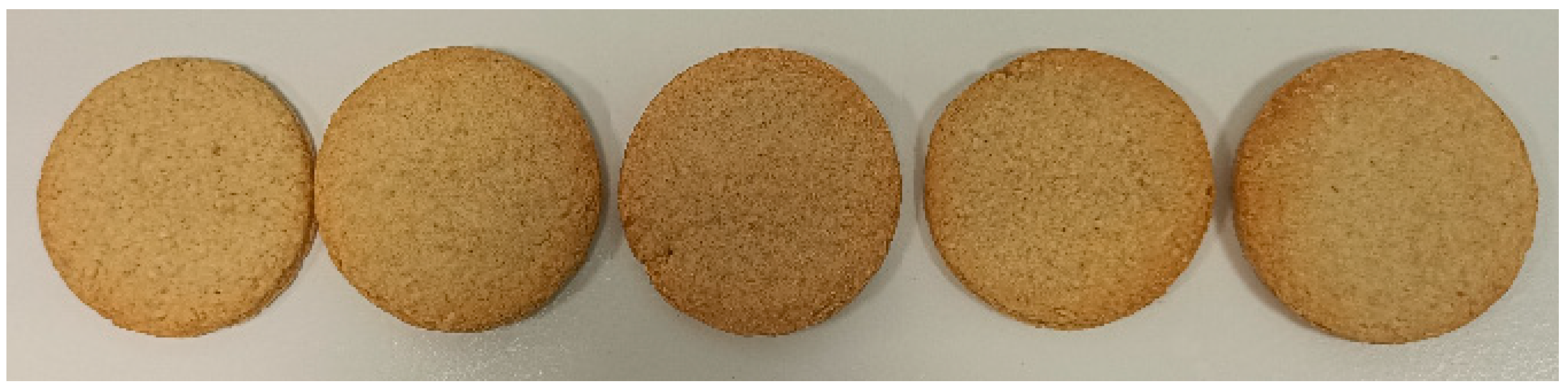 Processes 12 02063 g001