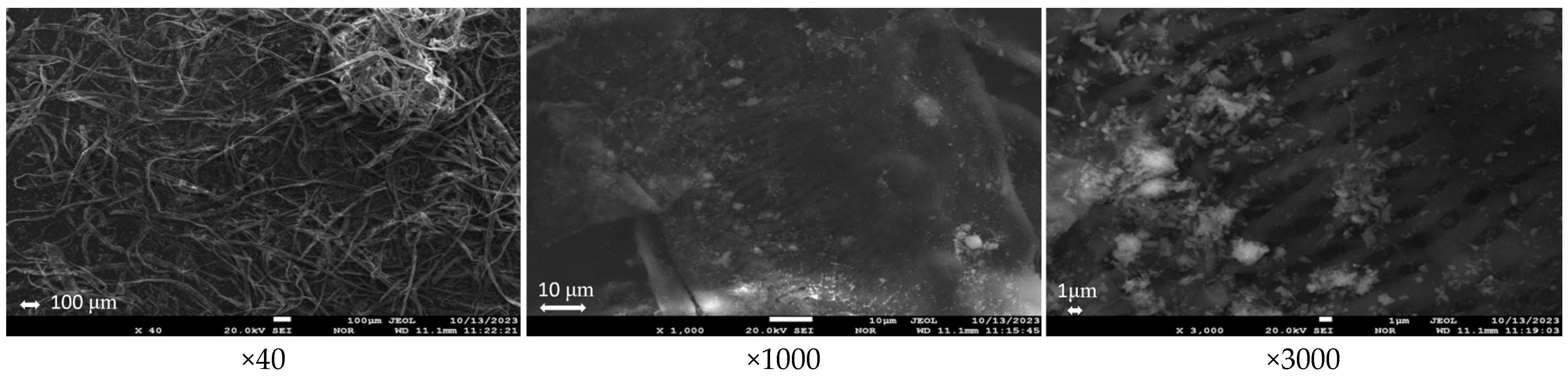 Processes 12 02070 g005