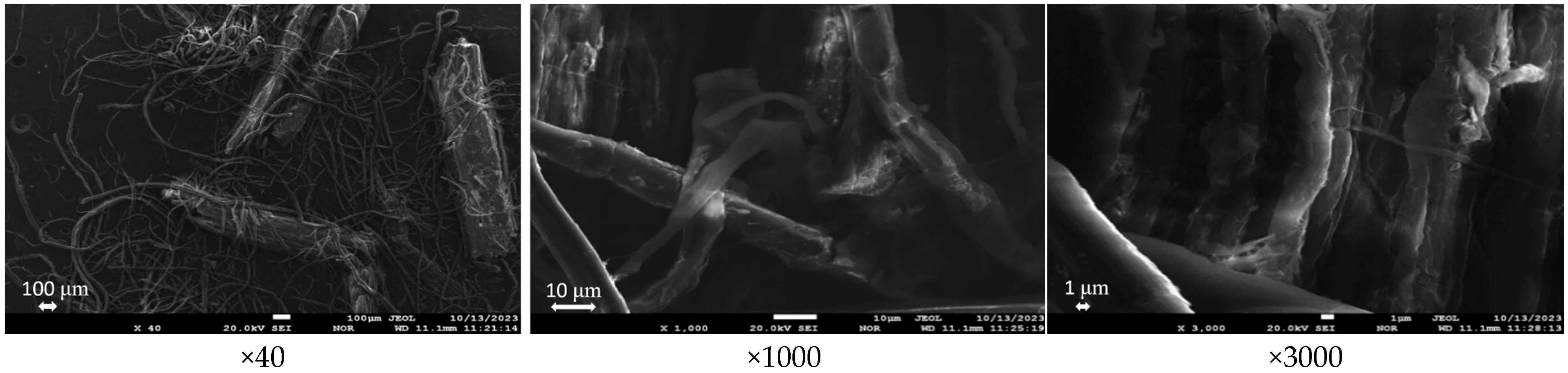 Processes 12 02070 g006