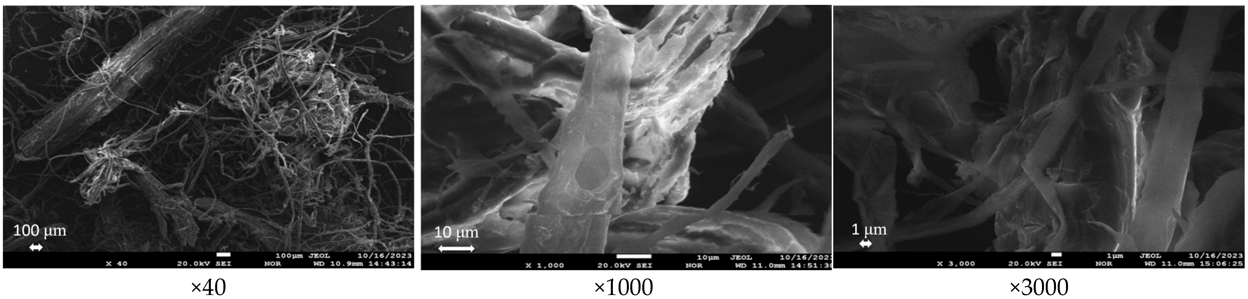 Processes 12 02070 g007