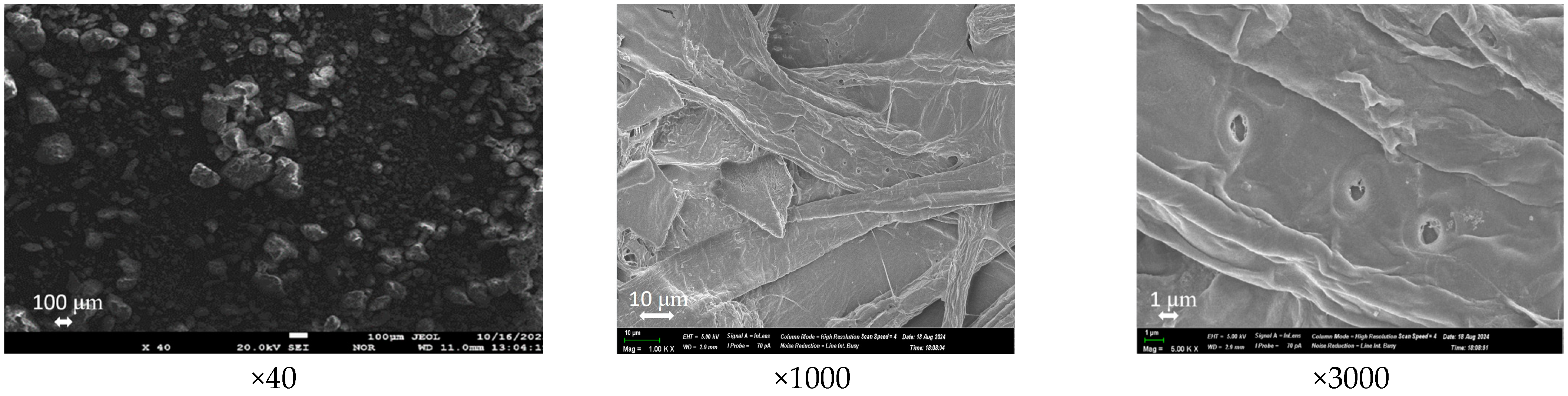 Processes 12 02070 g008
