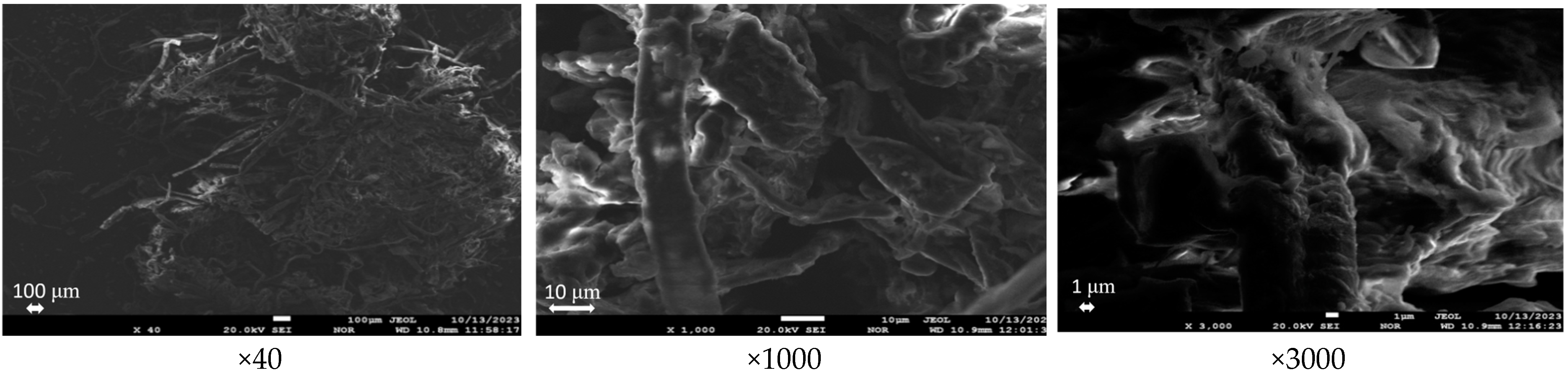 Processes 12 02070 g012