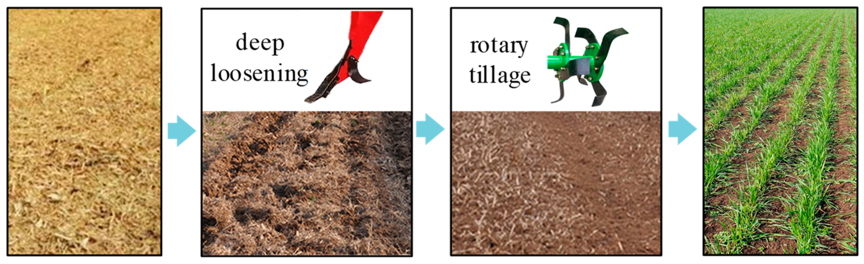 Processes 12 02078 g009