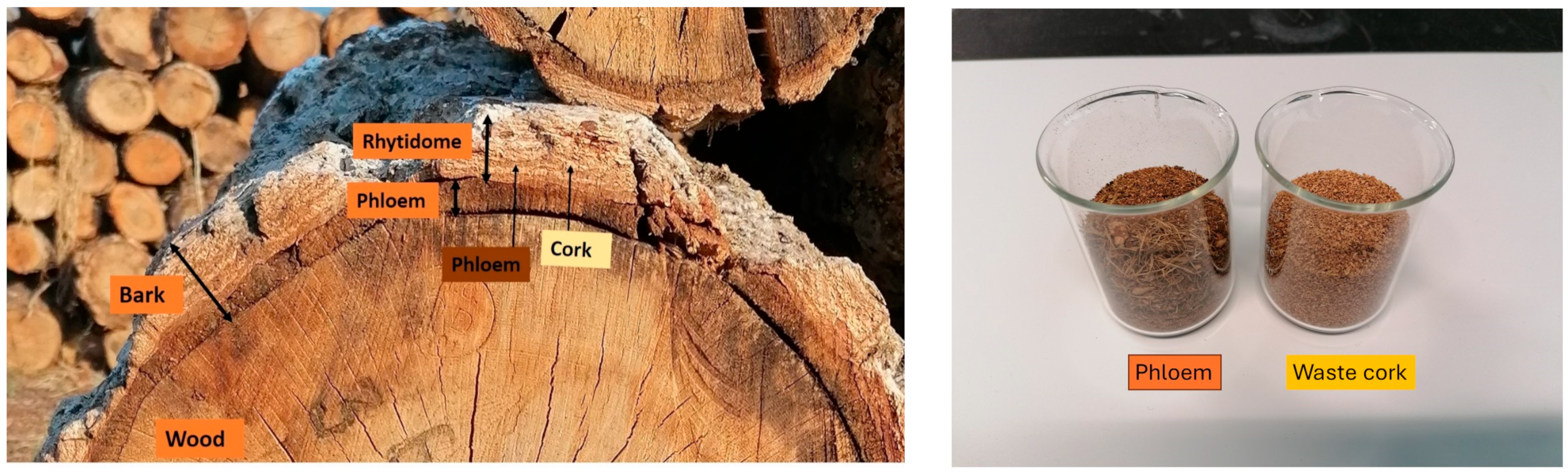 Processes 12 02081 g001