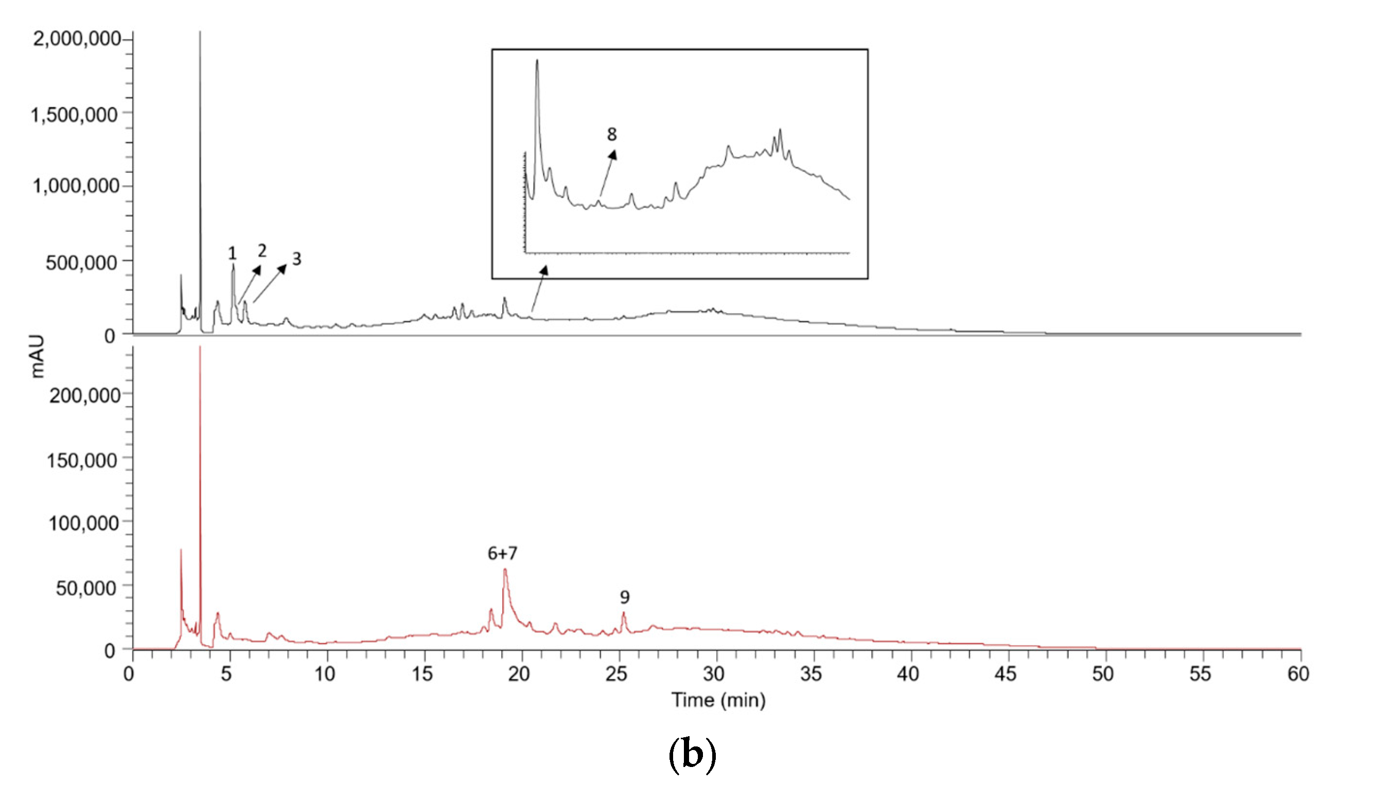 Processes 12 02081 g002b