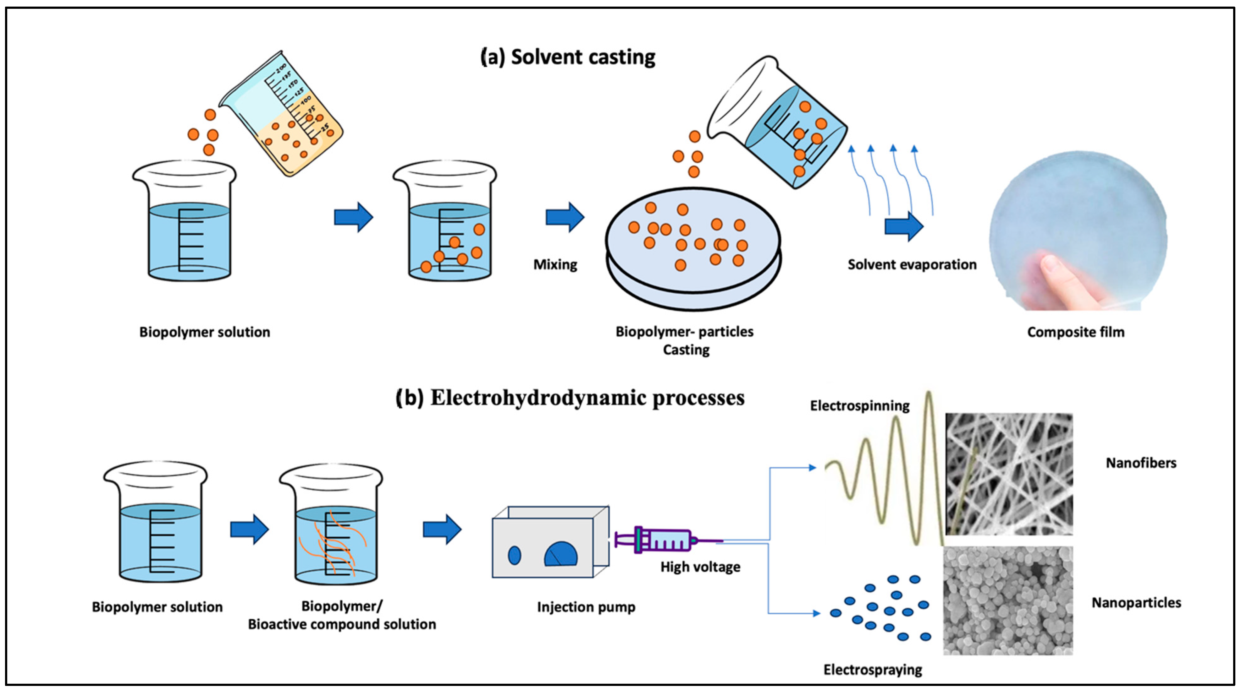 Processes 12 02115 g003