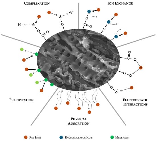 Processes 12 02257 g003