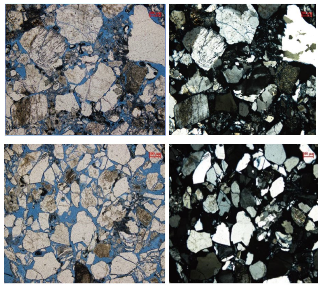 Processes 12 02275 g005