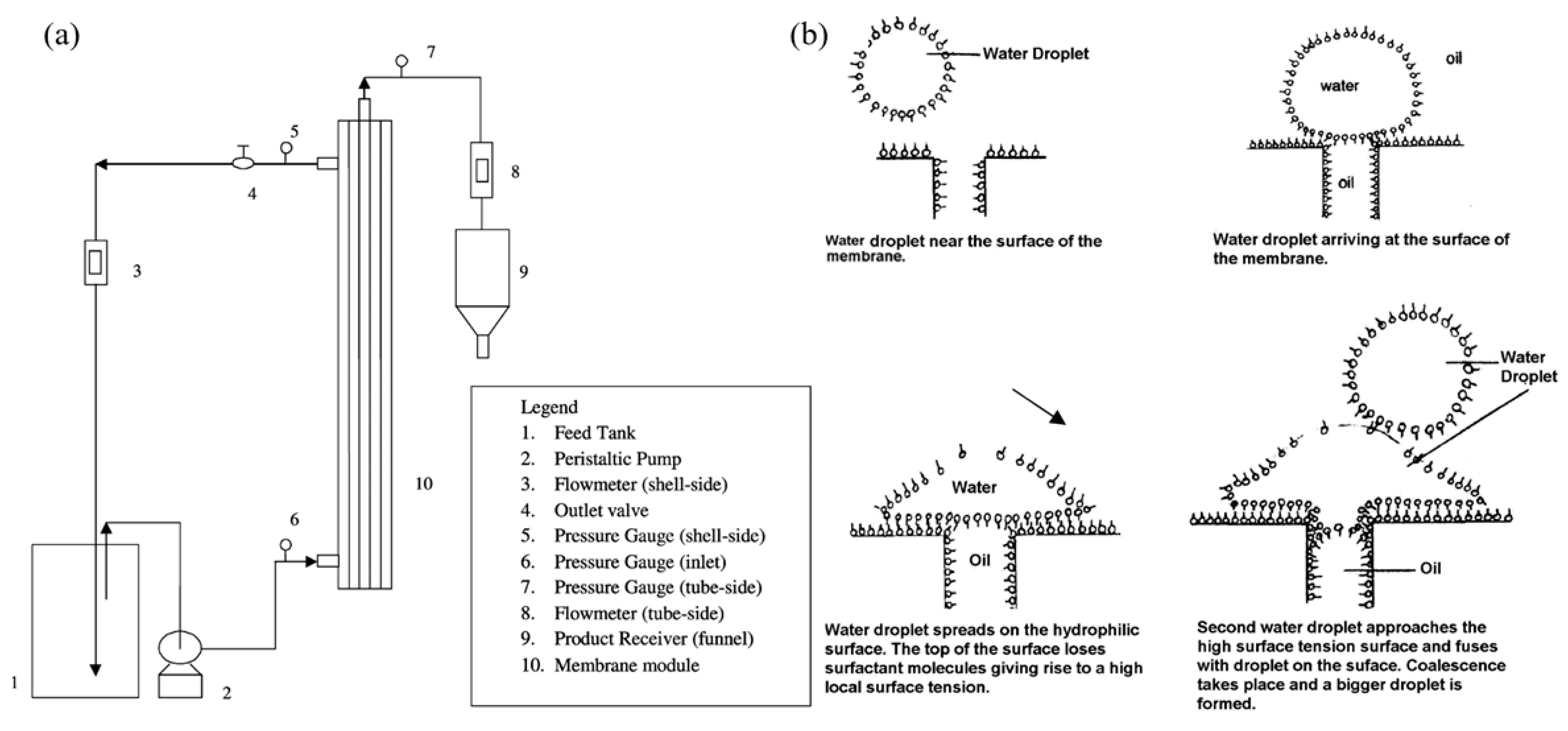 Processes 12 02292 g004