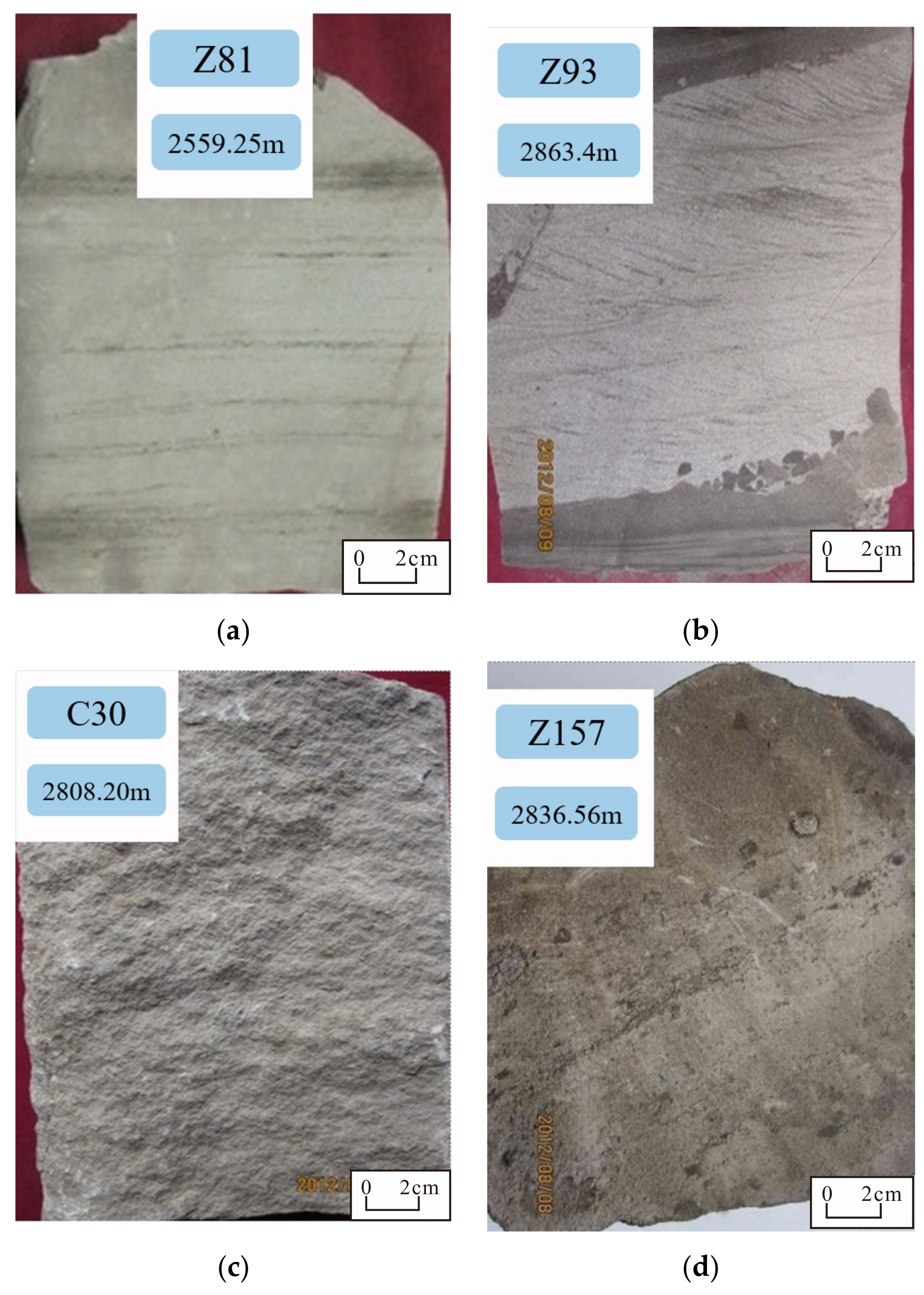 Processes 12 02306 g003