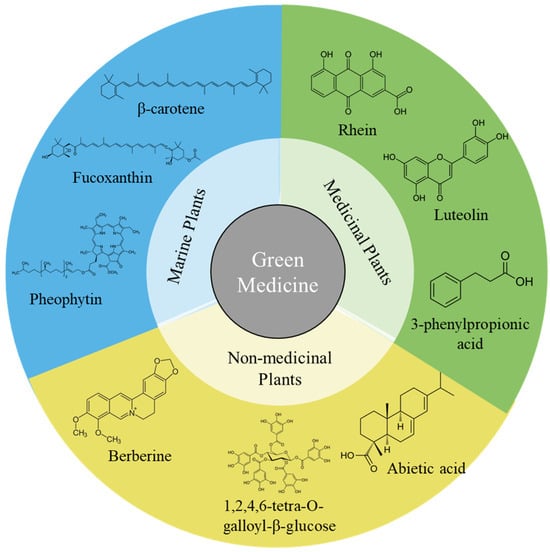 Processes 12 02316 g002