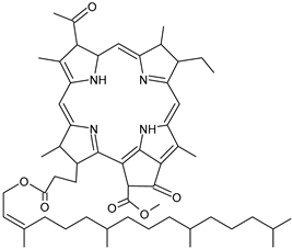 Processes 12 02316 i038