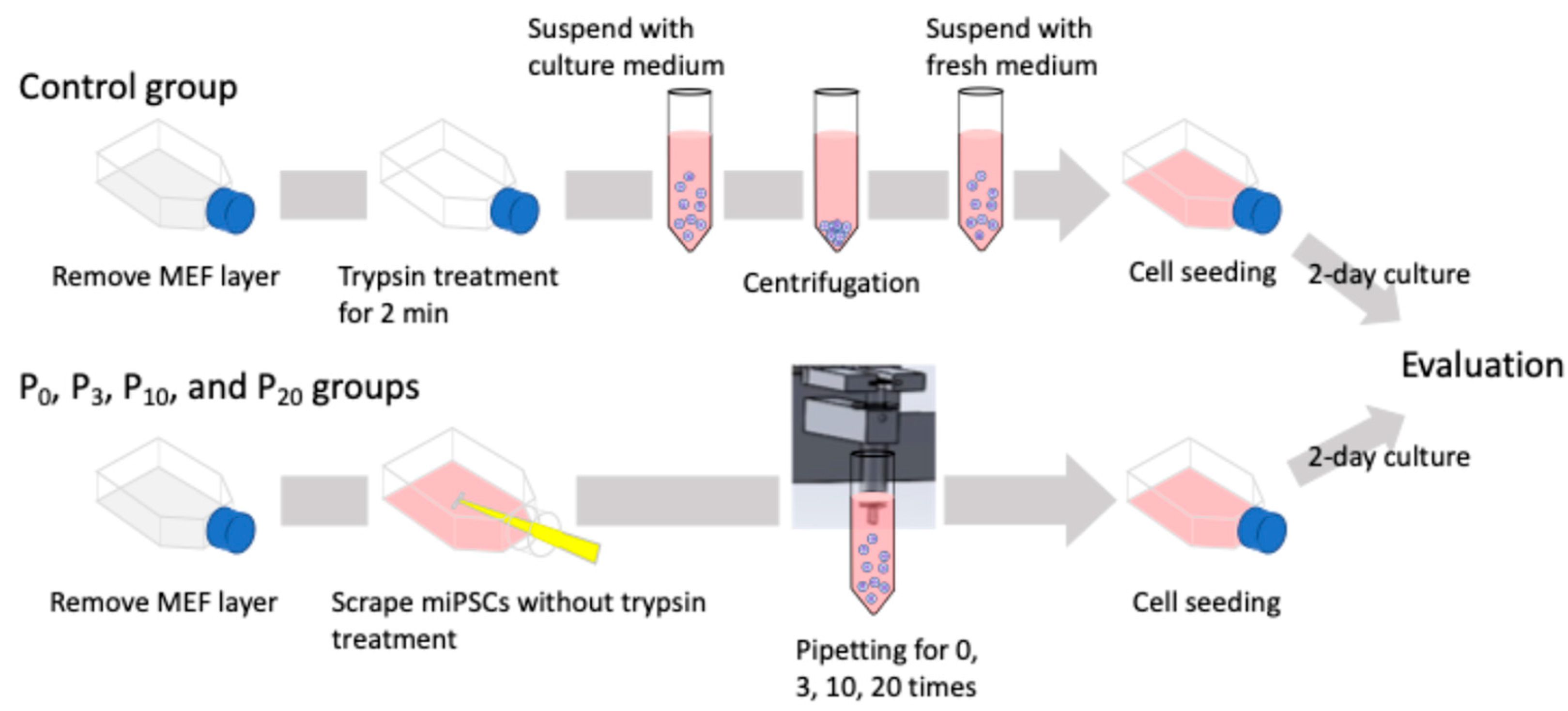 Processes 12 02387 g002