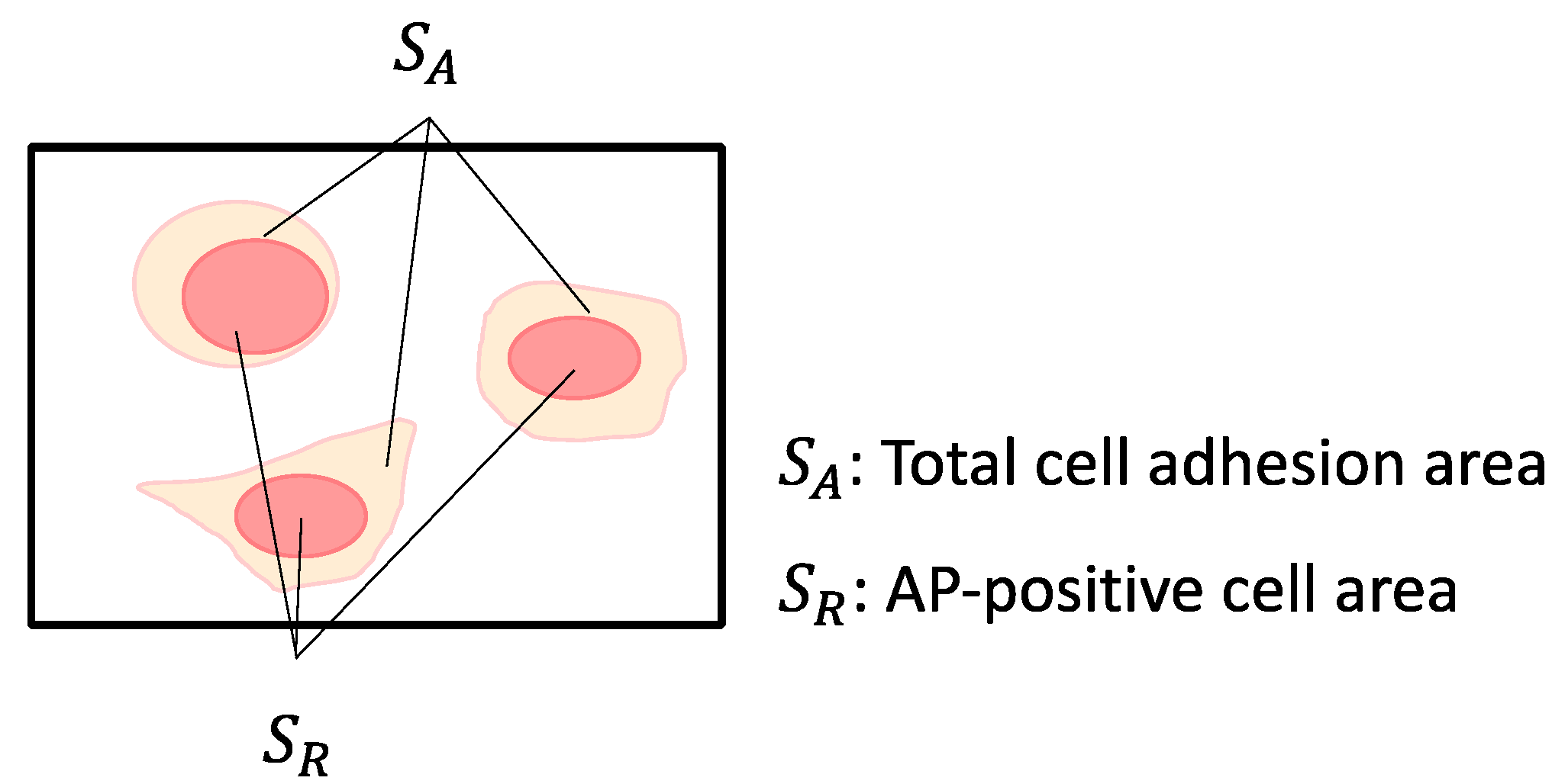 Processes 12 02387 g003