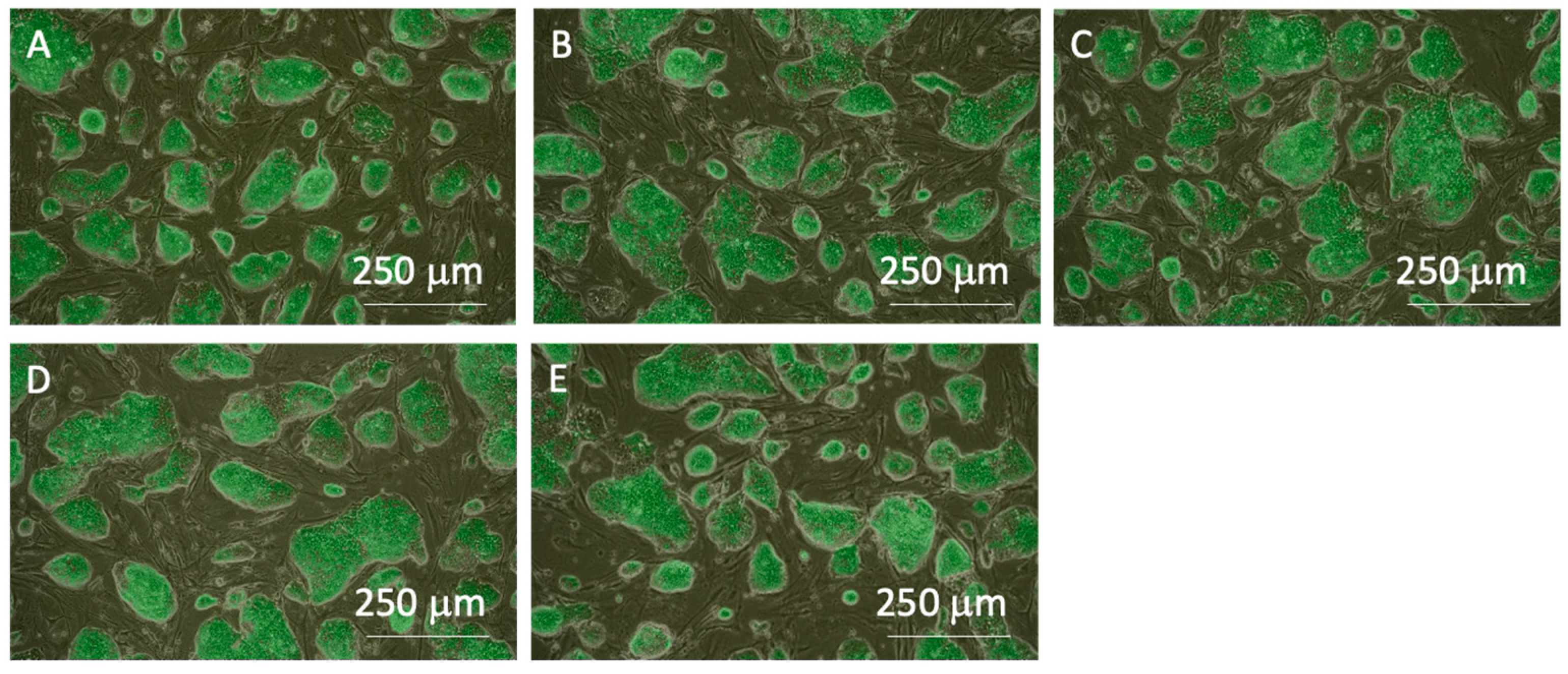 Processes 12 02387 g004