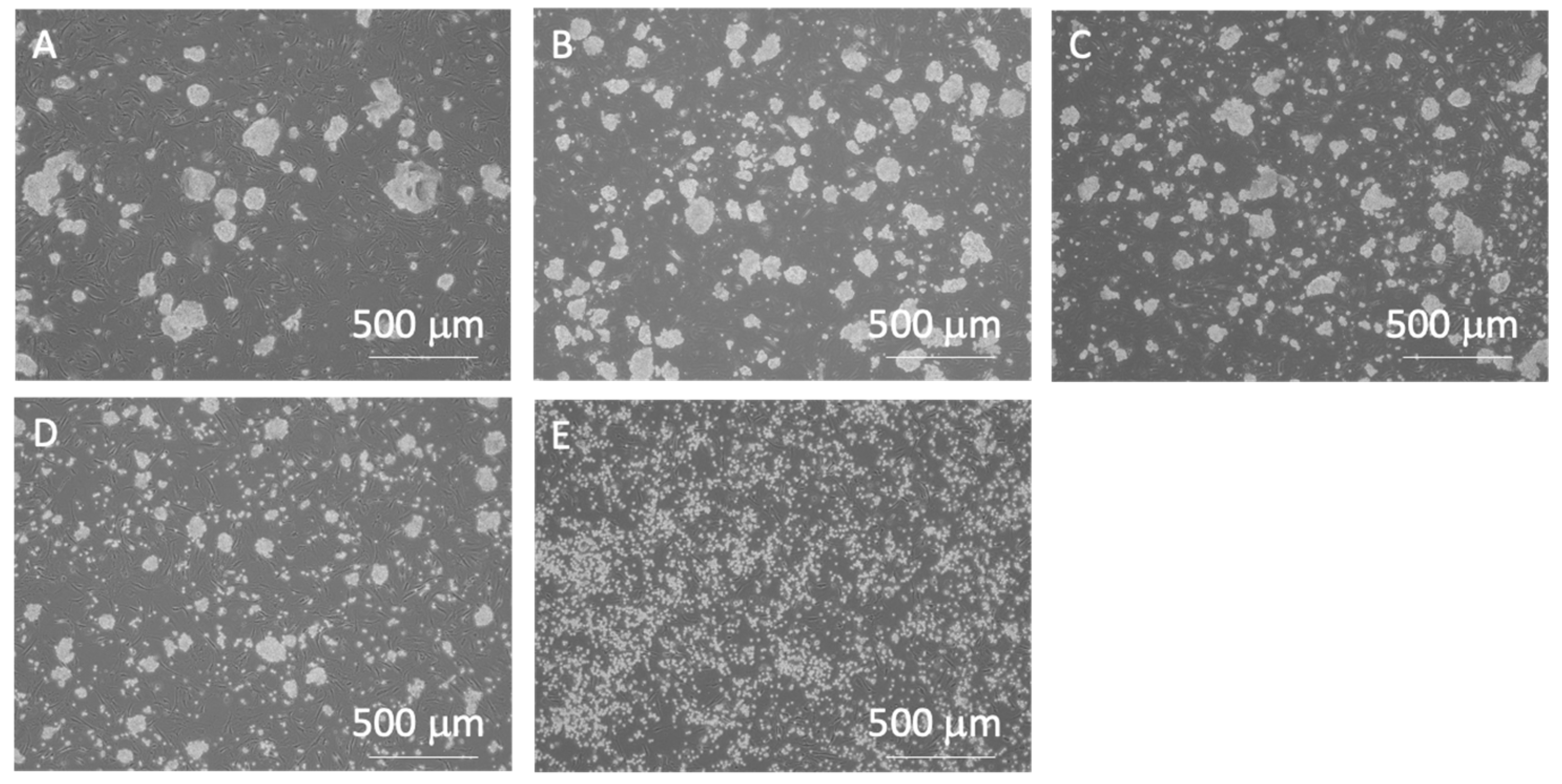 Processes 12 02387 g006