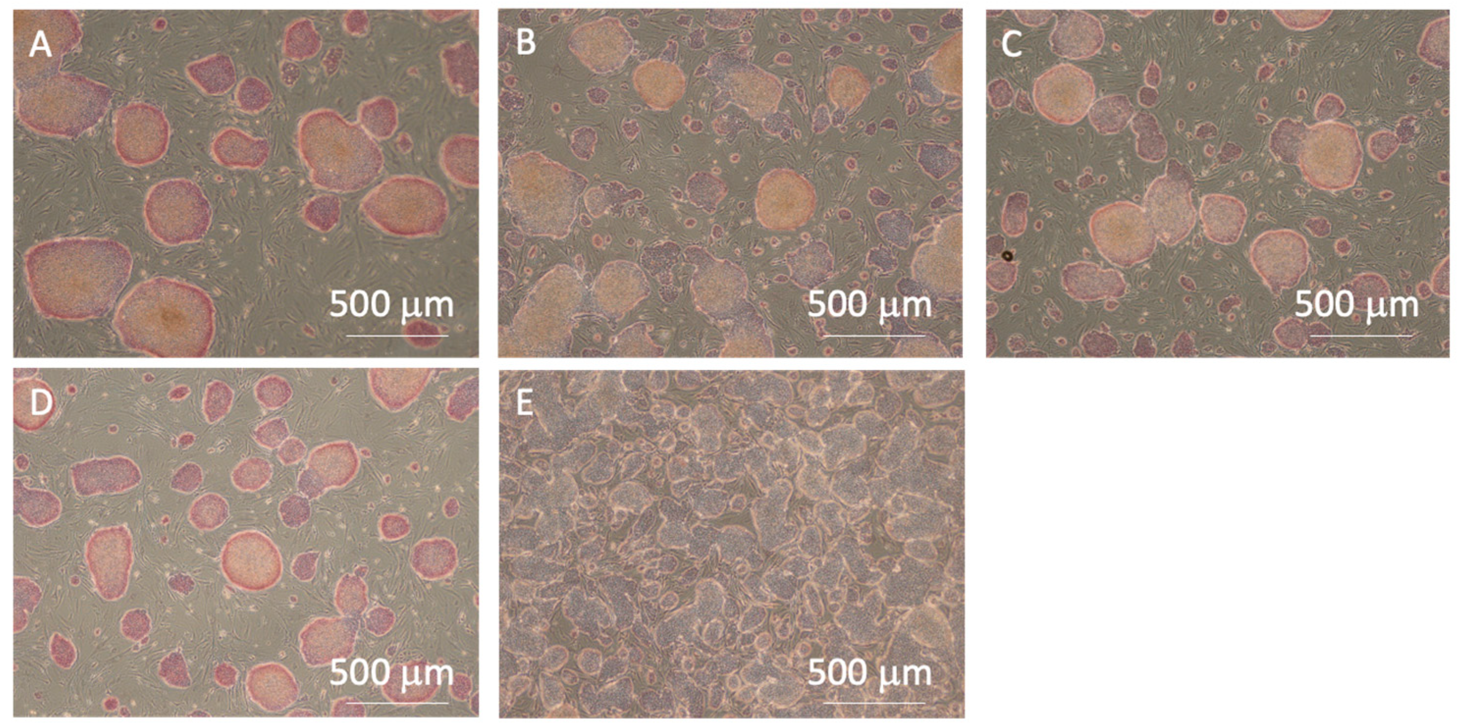 Processes 12 02387 g009