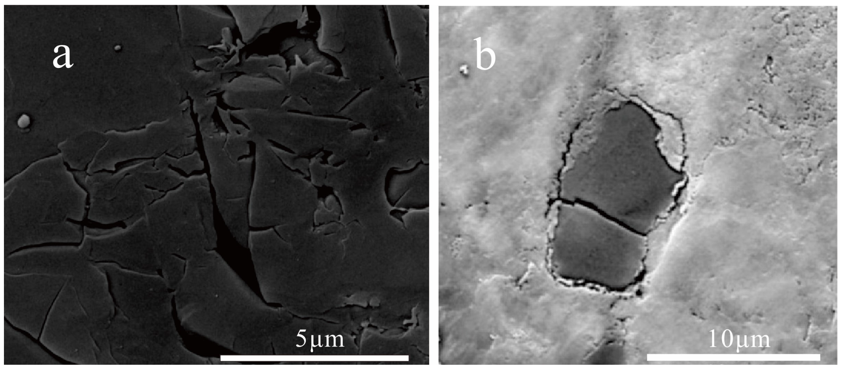 Processes 12 02395 g009