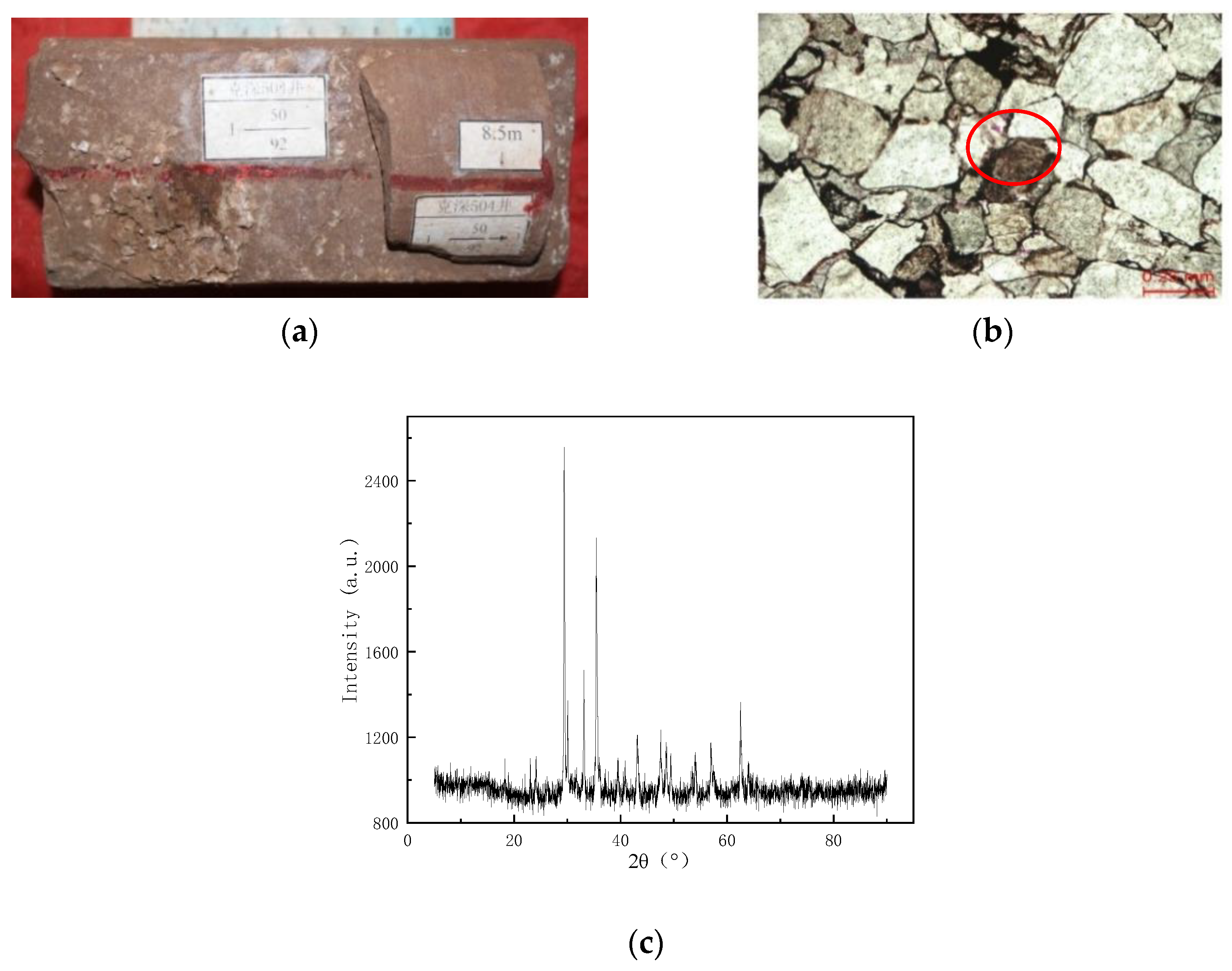 Processes 12 02427 g006