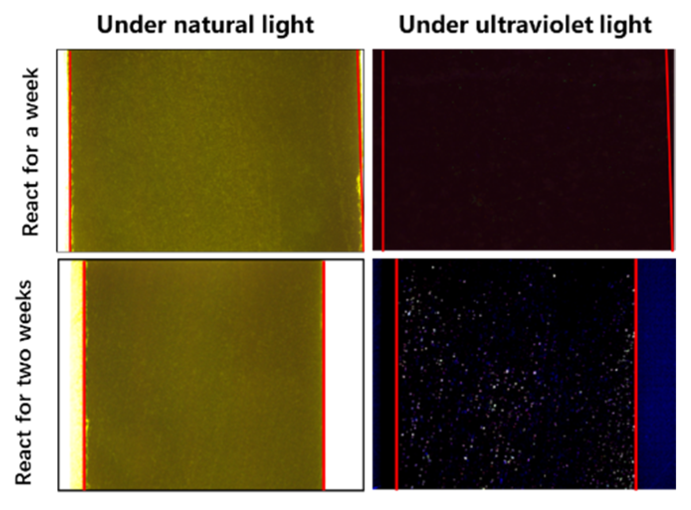 Processes 12 02427 g007