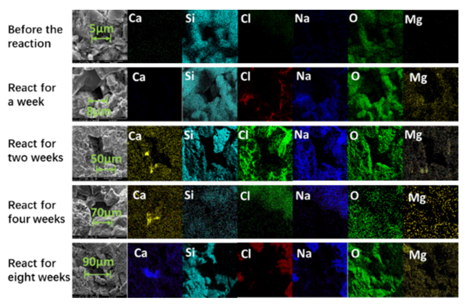 Processes 12 02427 g008