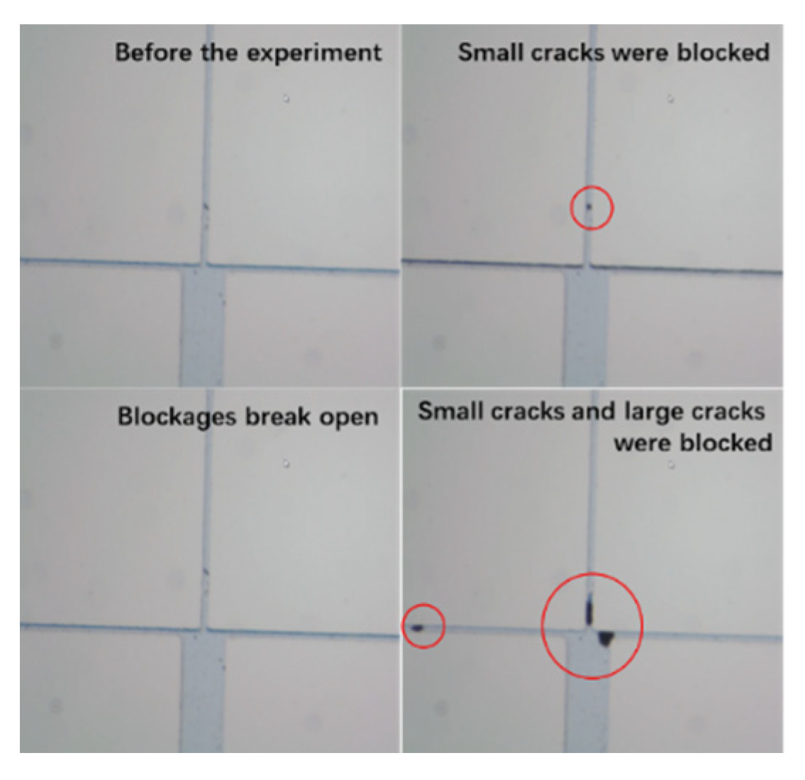Processes 12 02427 g009