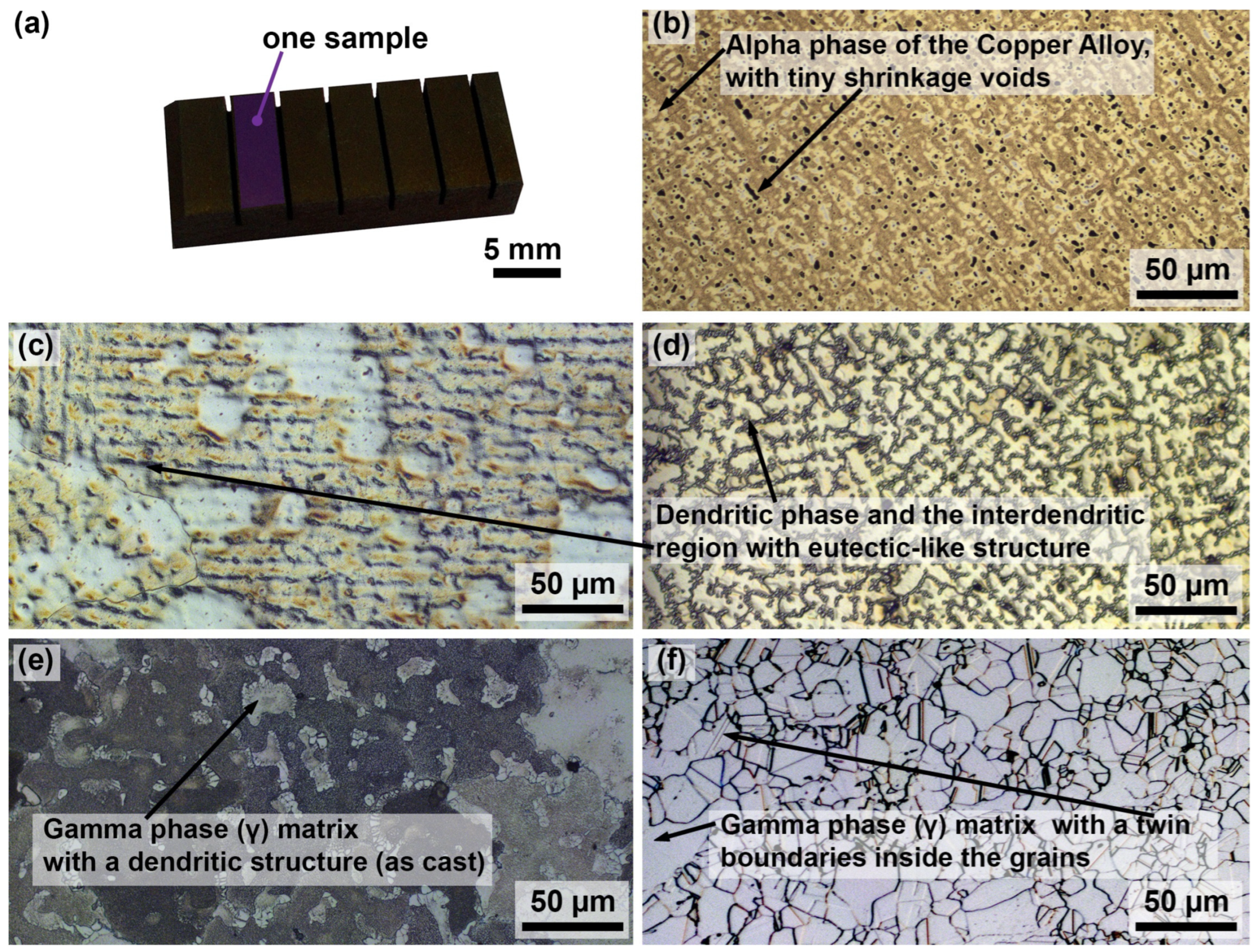 Processes 12 02448 g001