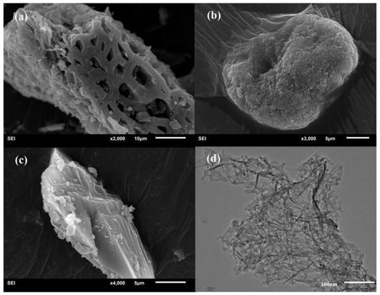 Processes 12 02451 g001