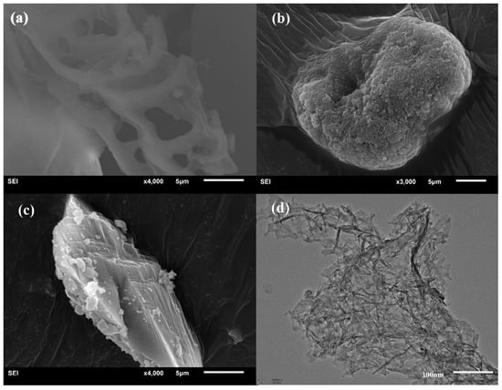 Processes 12 02451 g004
