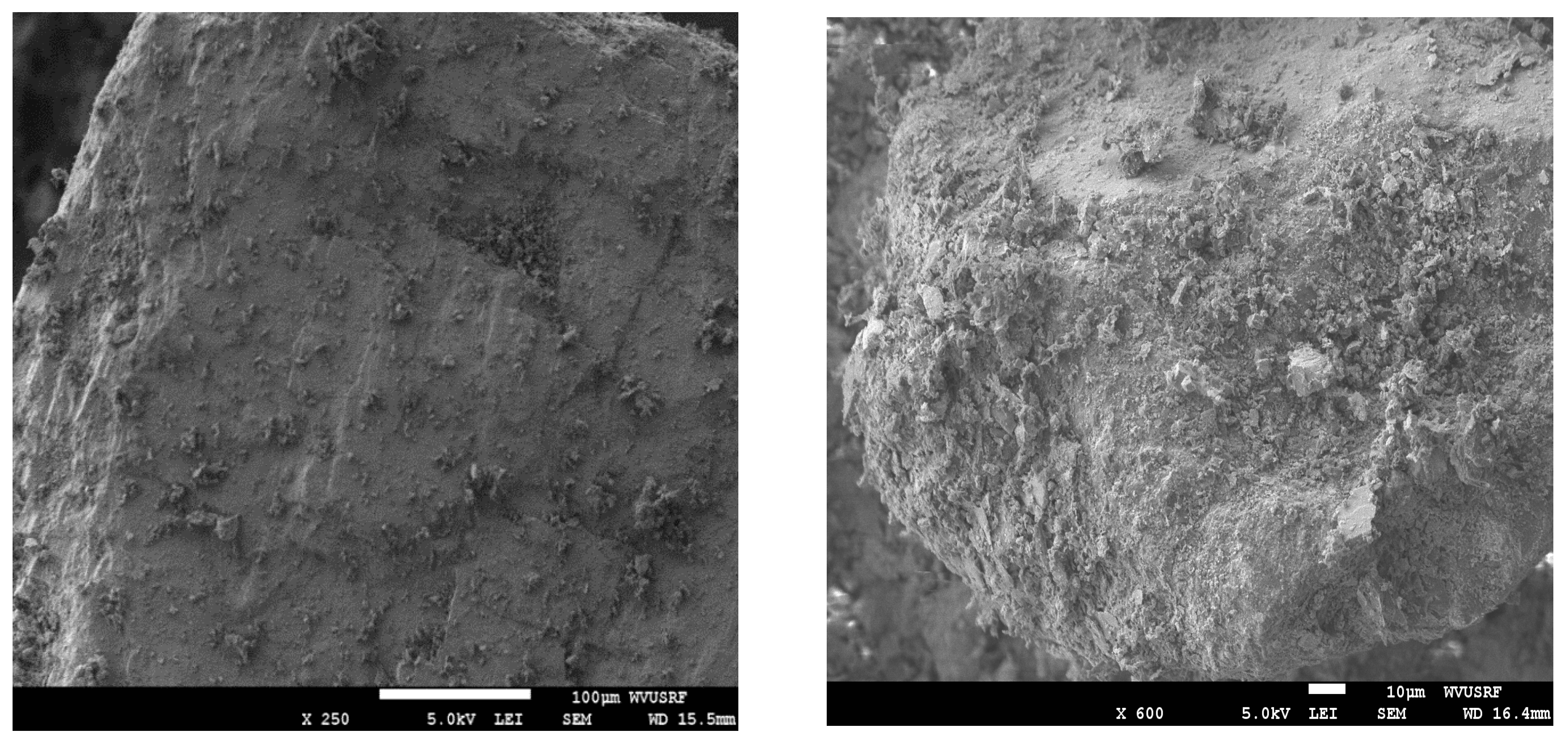 Processes 12 02468 g010 Processes 12 02468 g010