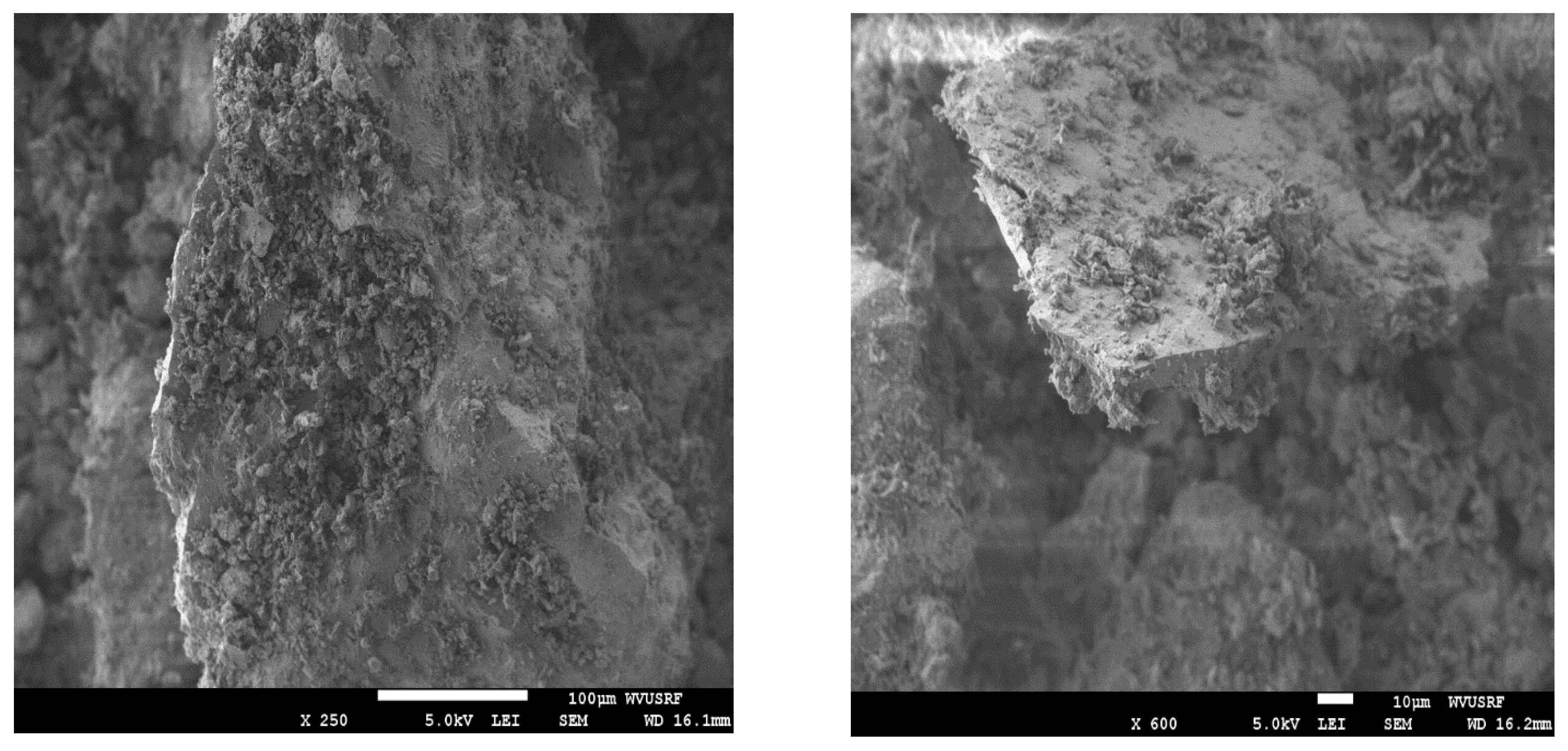 Processes 12 02468 g011 Processes 12 02468 g011