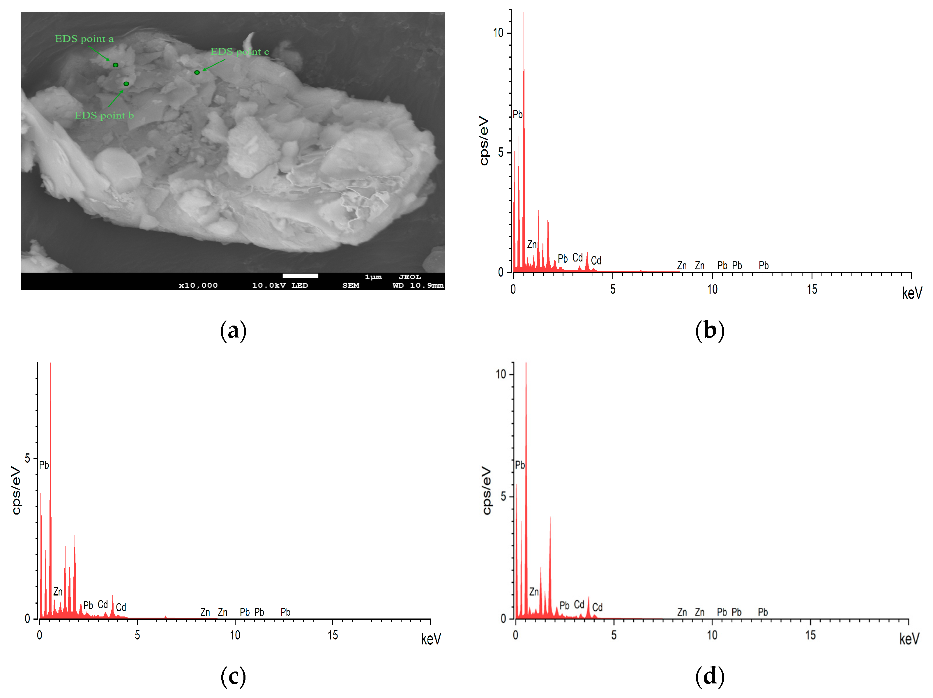 Processes 12 02492 g003