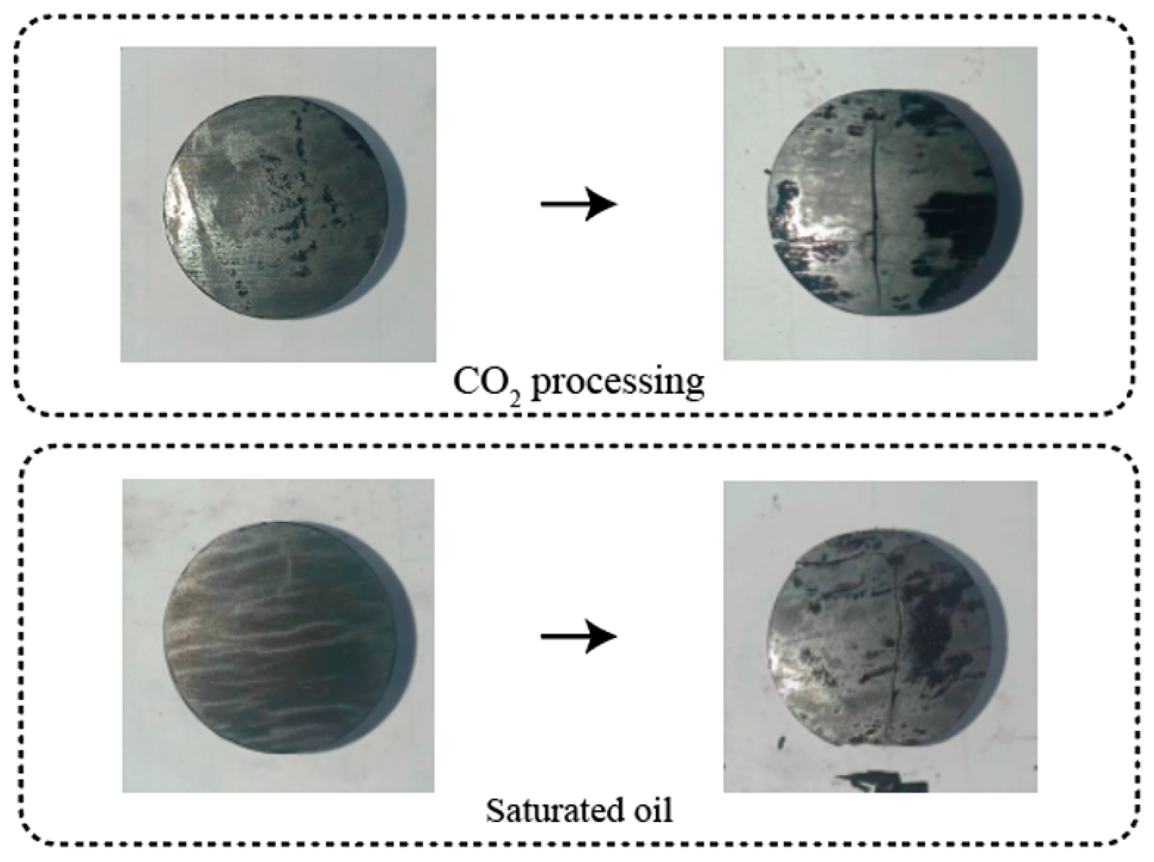 Processes 12 02525 g004