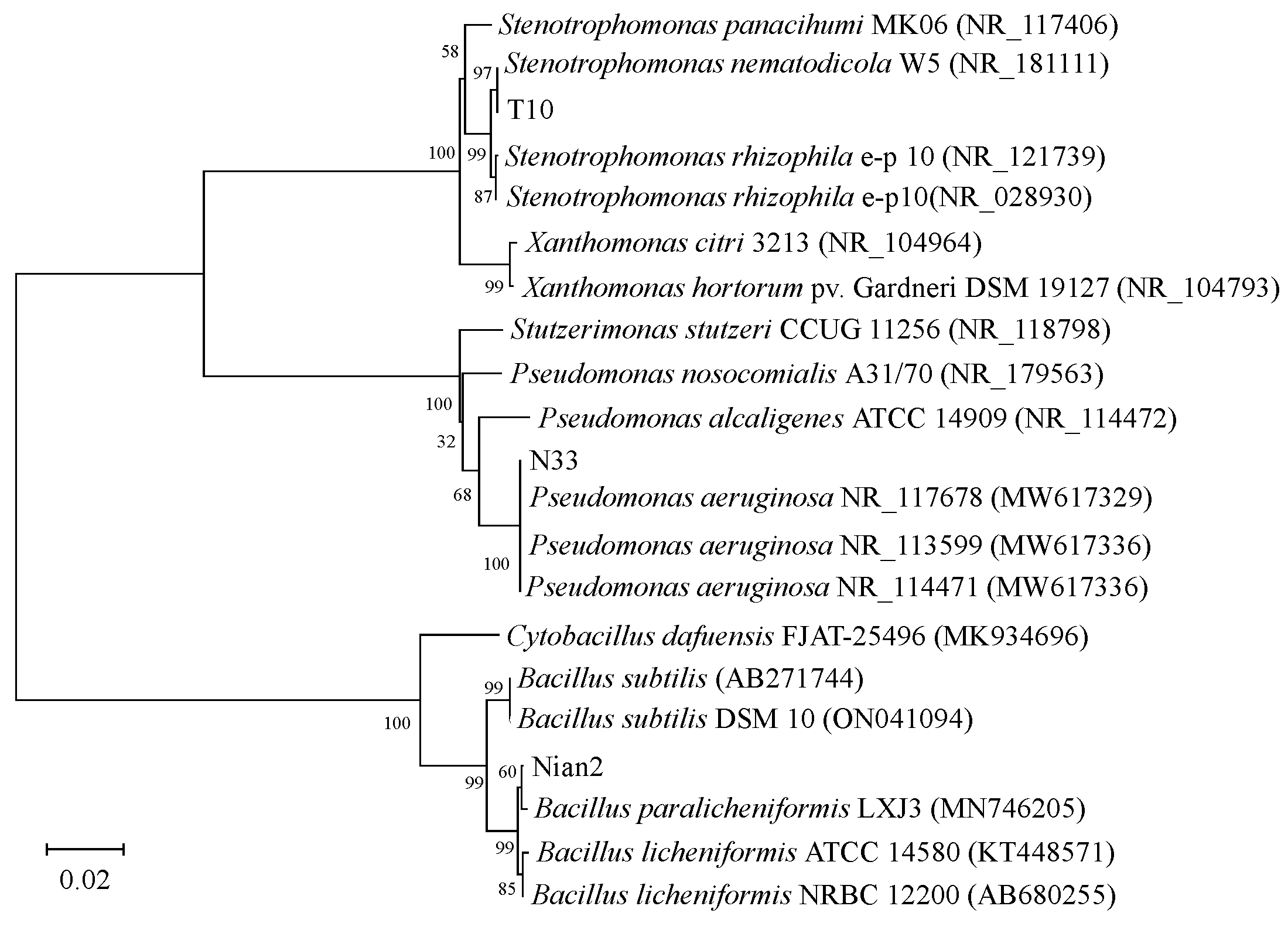 Processes 12 02575 g002