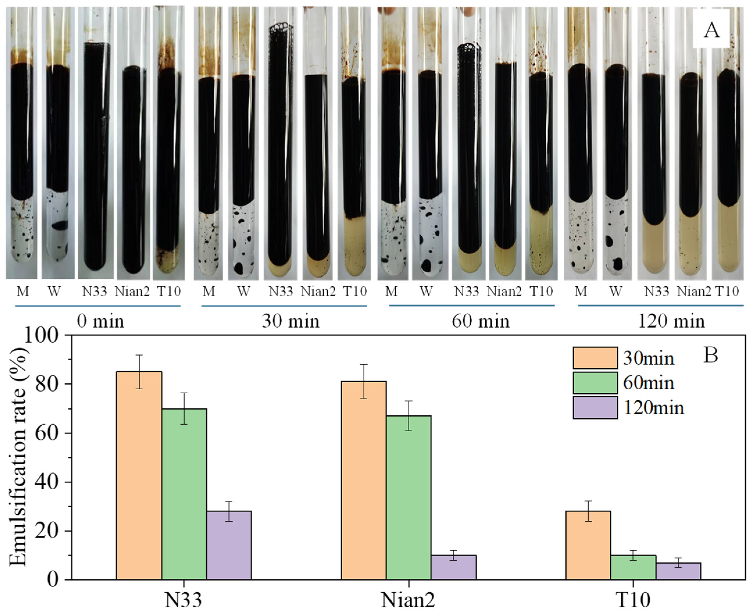 Processes 12 02575 g005