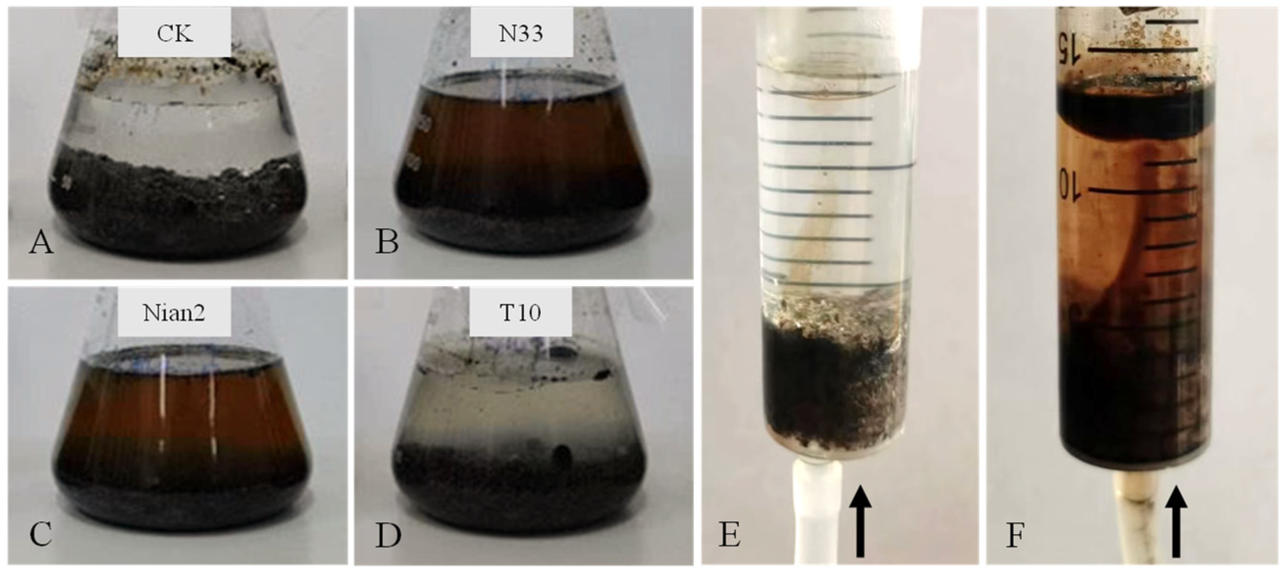 Processes 12 02575 g006