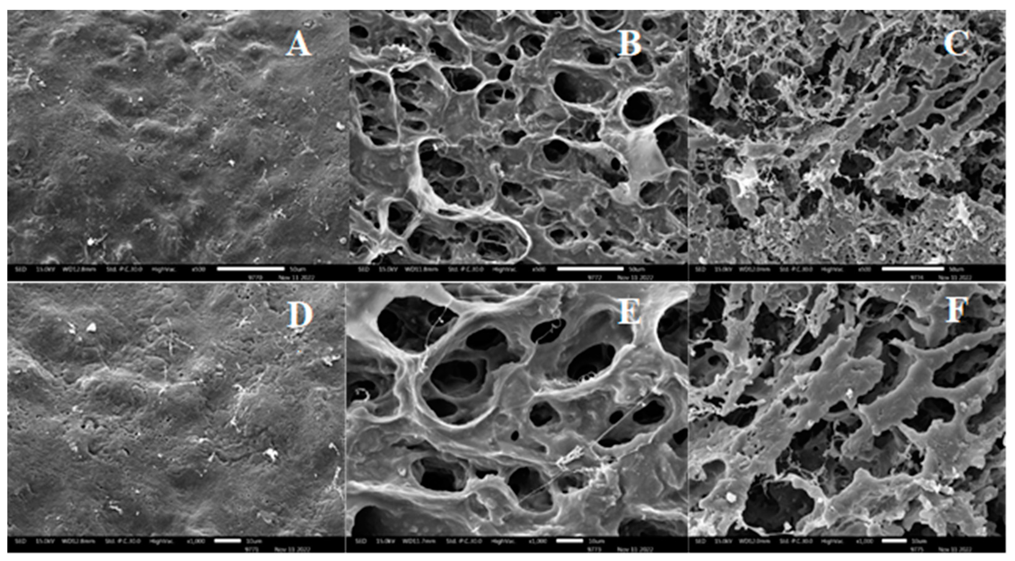 Processes 12 02577 g003a