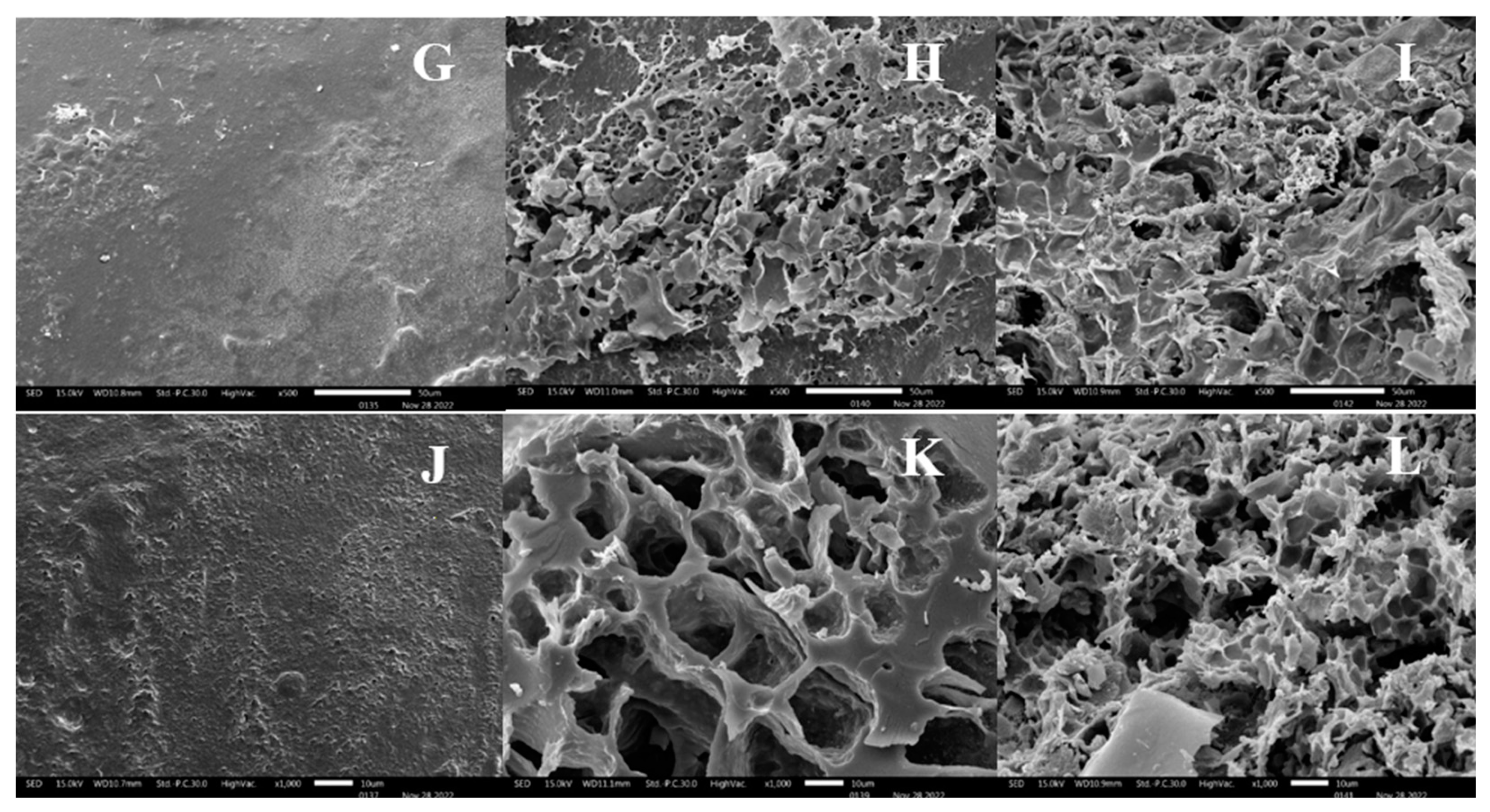 Processes 12 02577 g003b